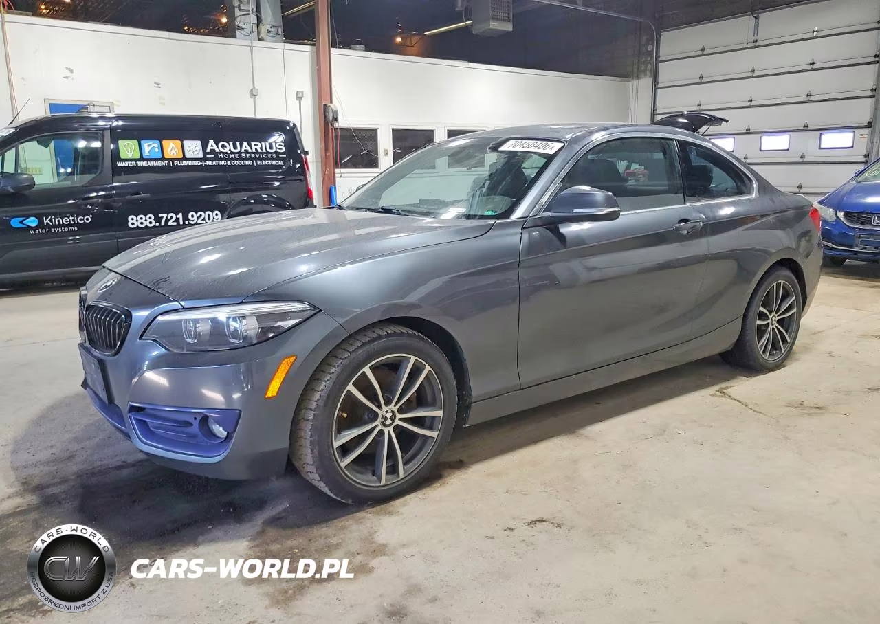 2018 BMW 230Xi