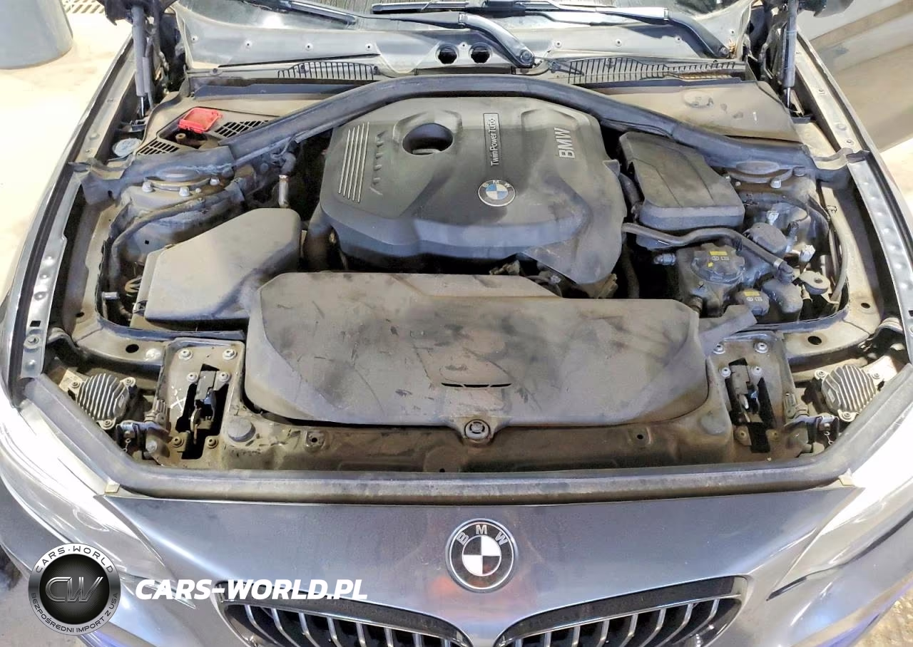 2018 BMW 230Xi VIN:WBA2J3C56JVA52445 - 11