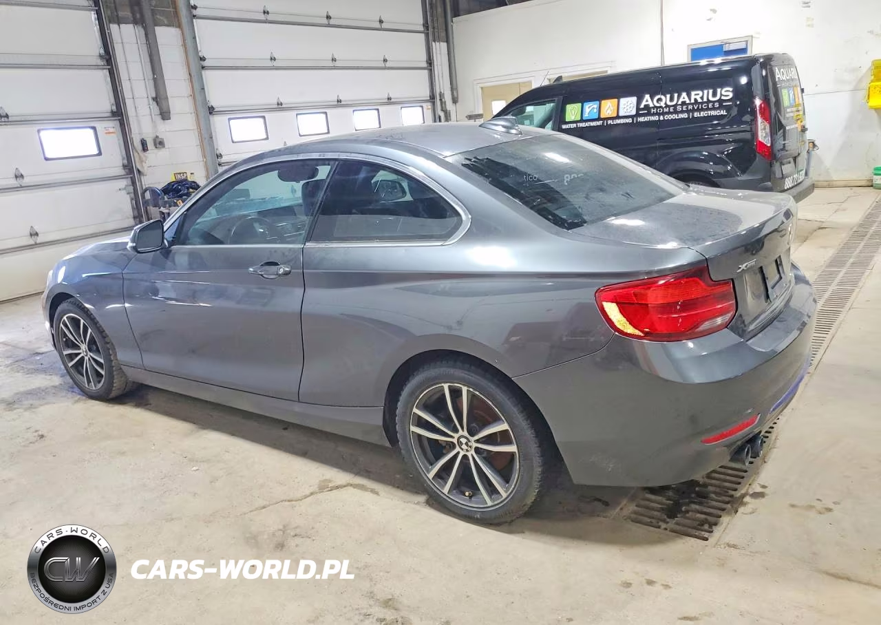 2018 BMW 230Xi VIN:WBA2J3C56JVA52445 - 2