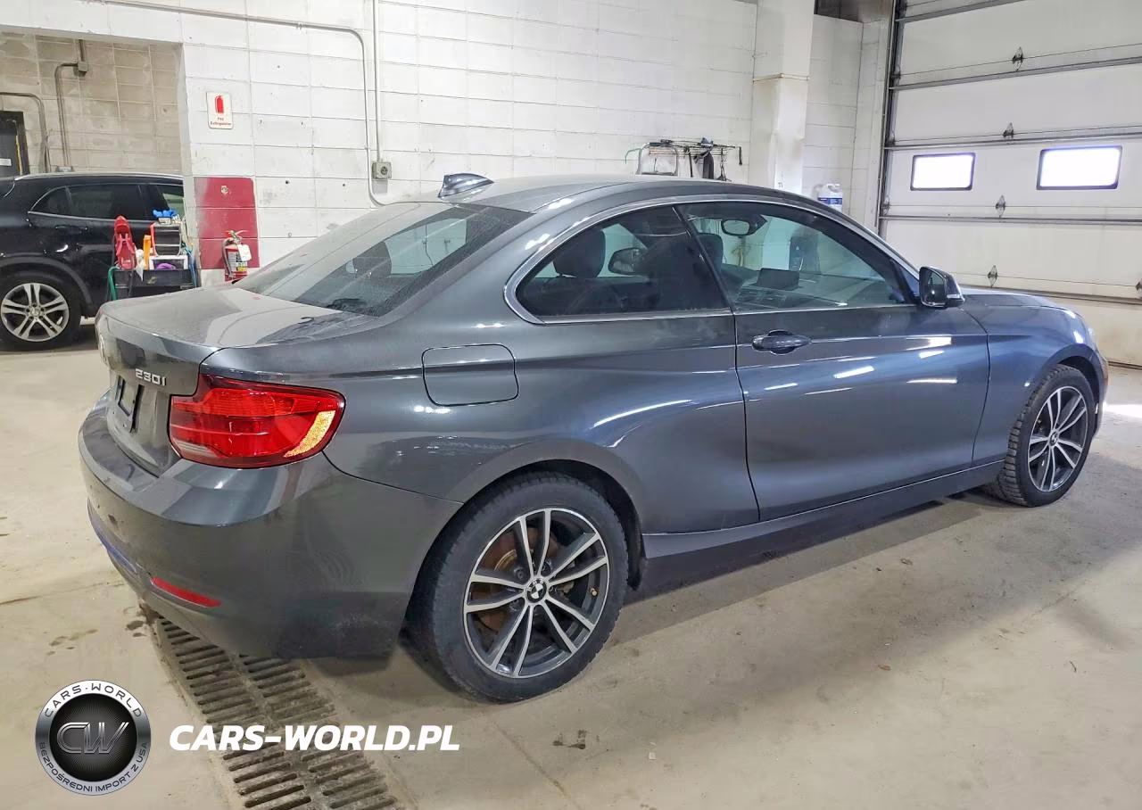 2018 BMW 230Xi VIN:WBA2J3C56JVA52445 - 3