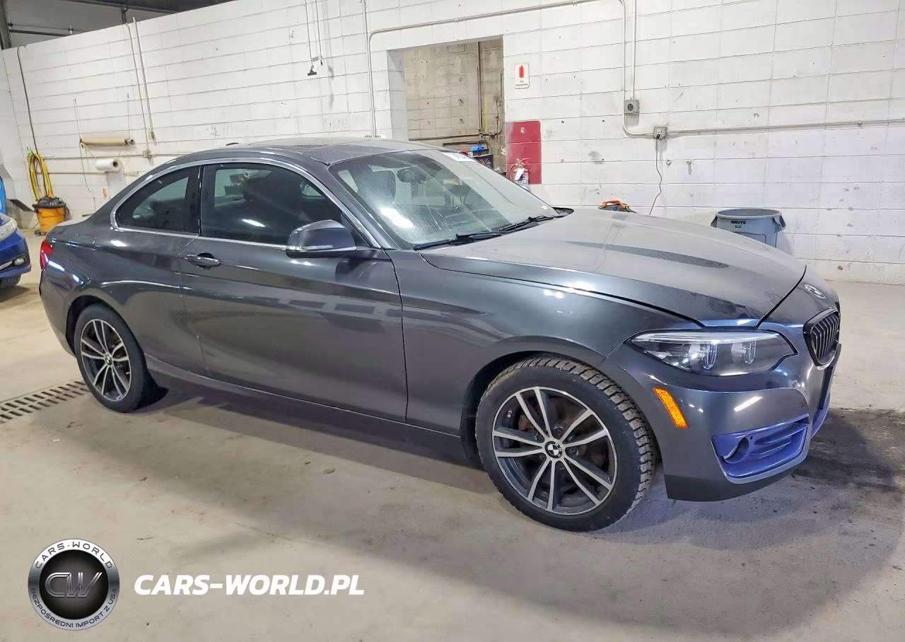 2018 BMW 230Xi VIN:WBA2J3C56JVA52445 - 4