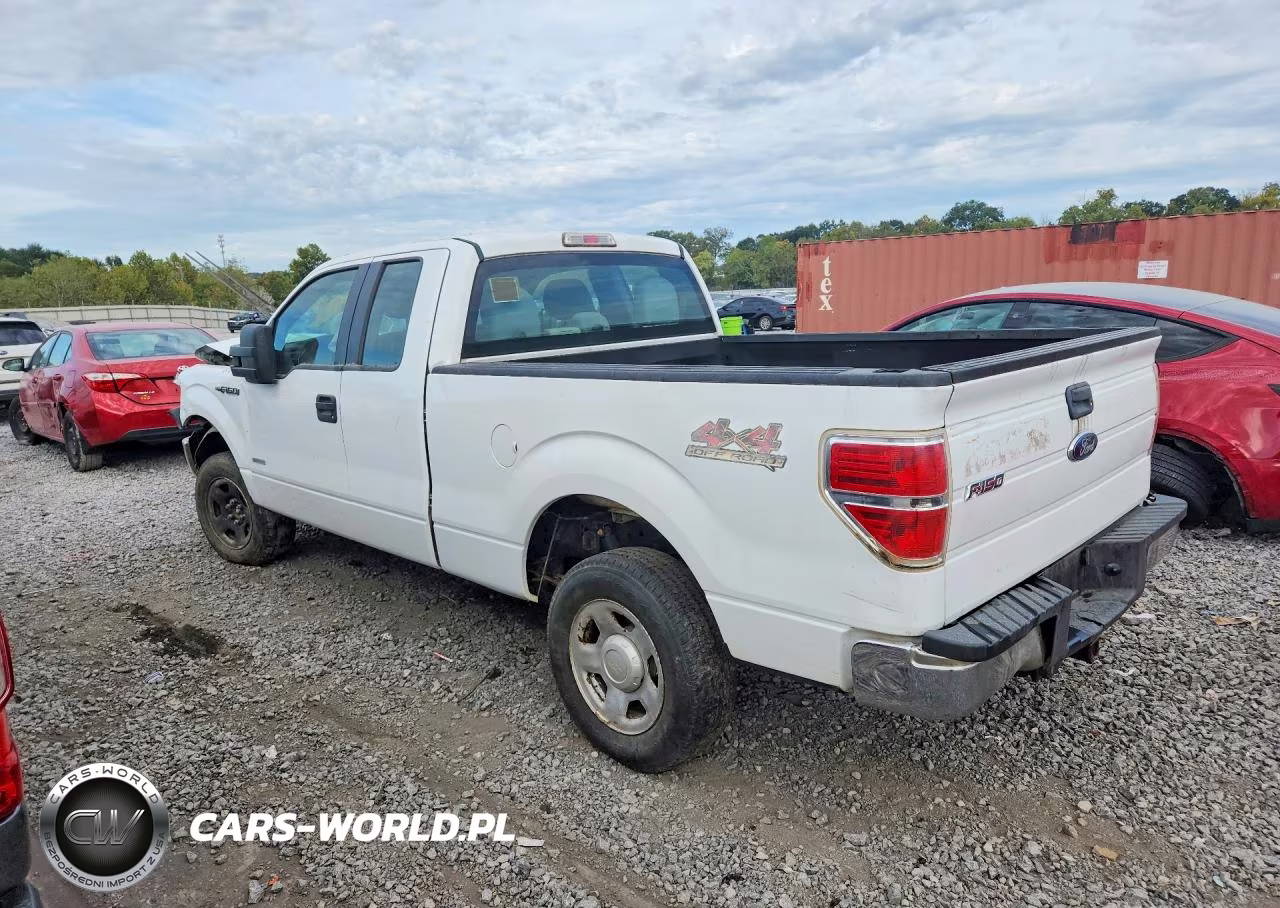 2014 Ford F-150 VIN:1FTFX1ET4EKF40784 - 2