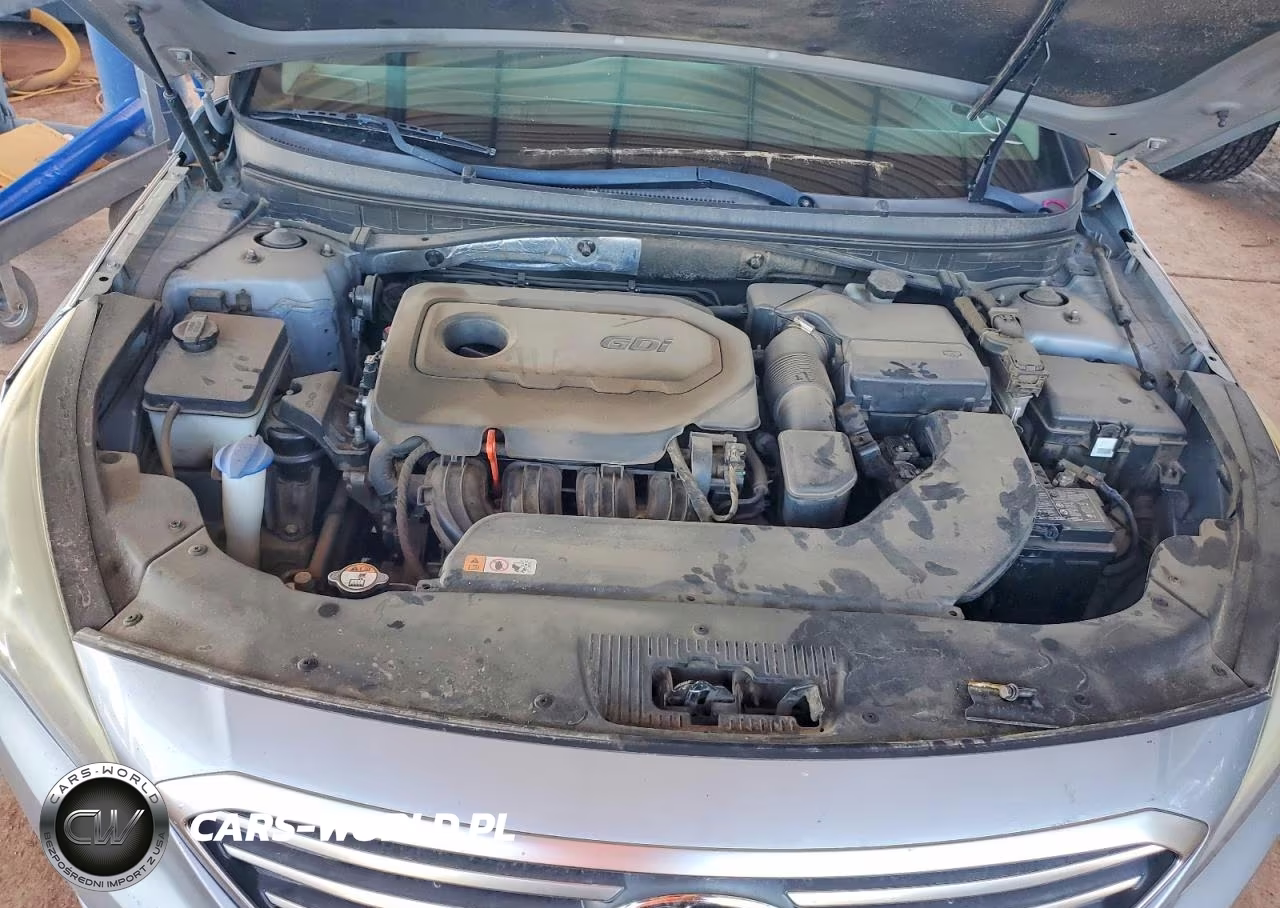2015 Hyundai Sonata Se VIN:5NPE24AF1FH066286 - 11
