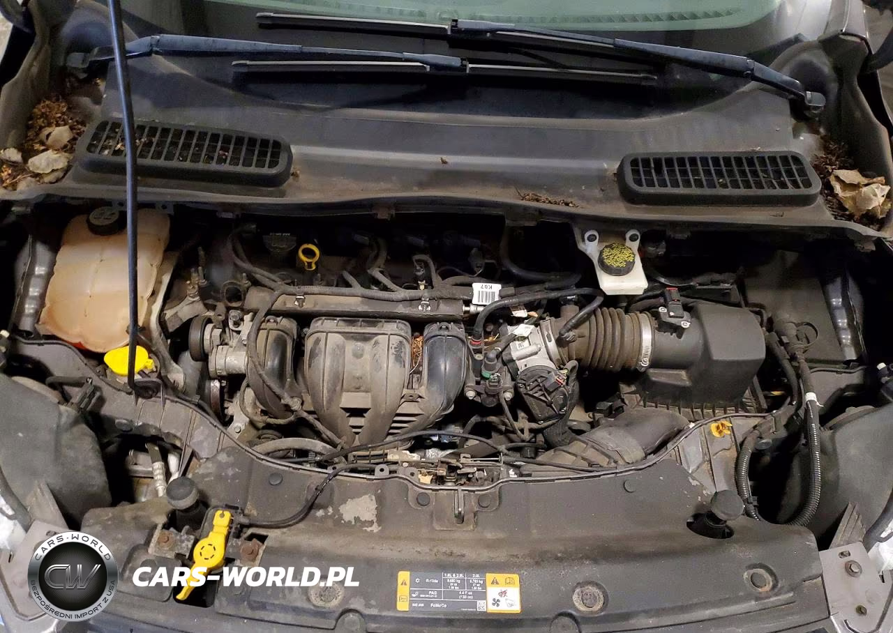 2013 Ford Escape S VIN:1FMCU0F74DUD69749 - 12