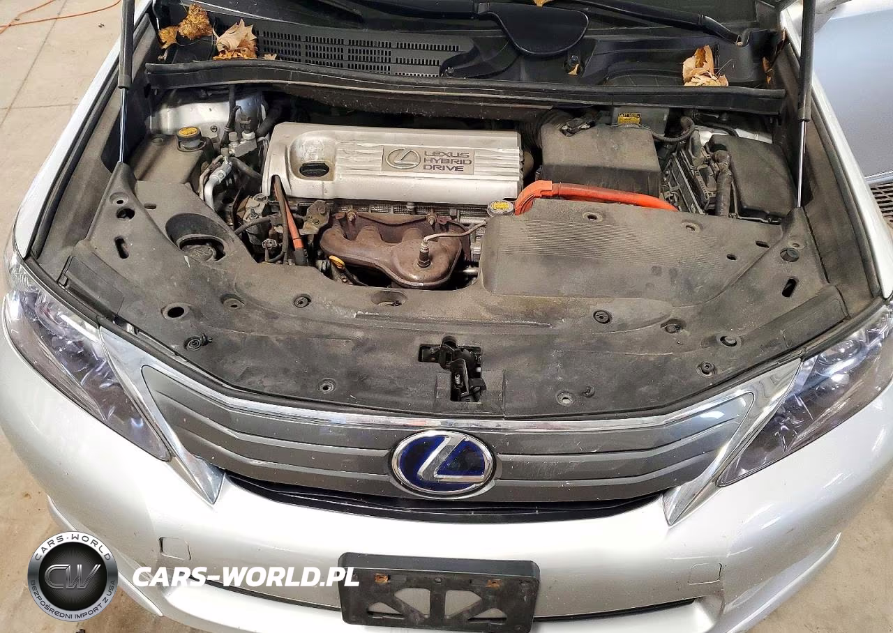 2010 Lexus Hs 250H VIN:JTHBB1BAXA2034448 - 11