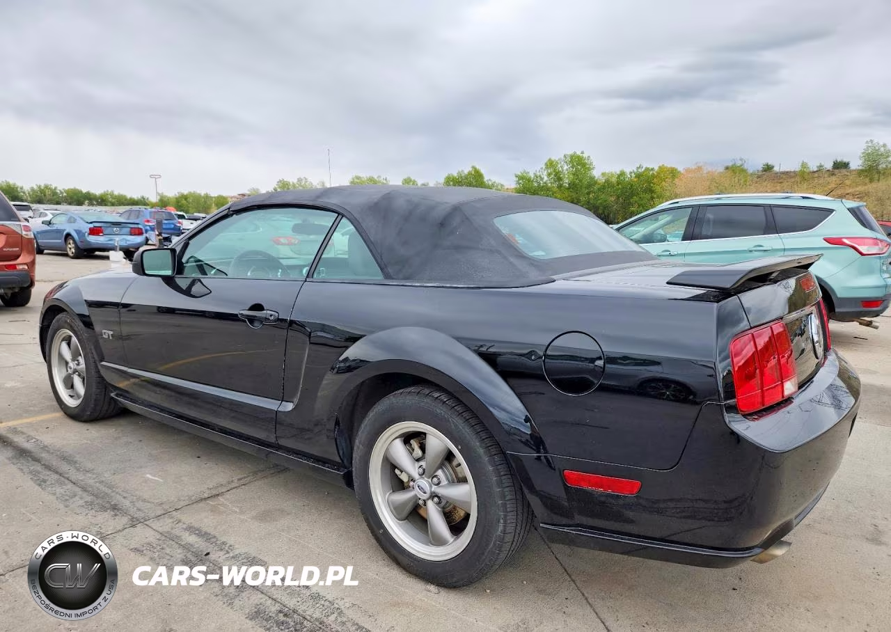 2006 Ford Mustang Gt VIN:1ZVFT85H265209487 - 2