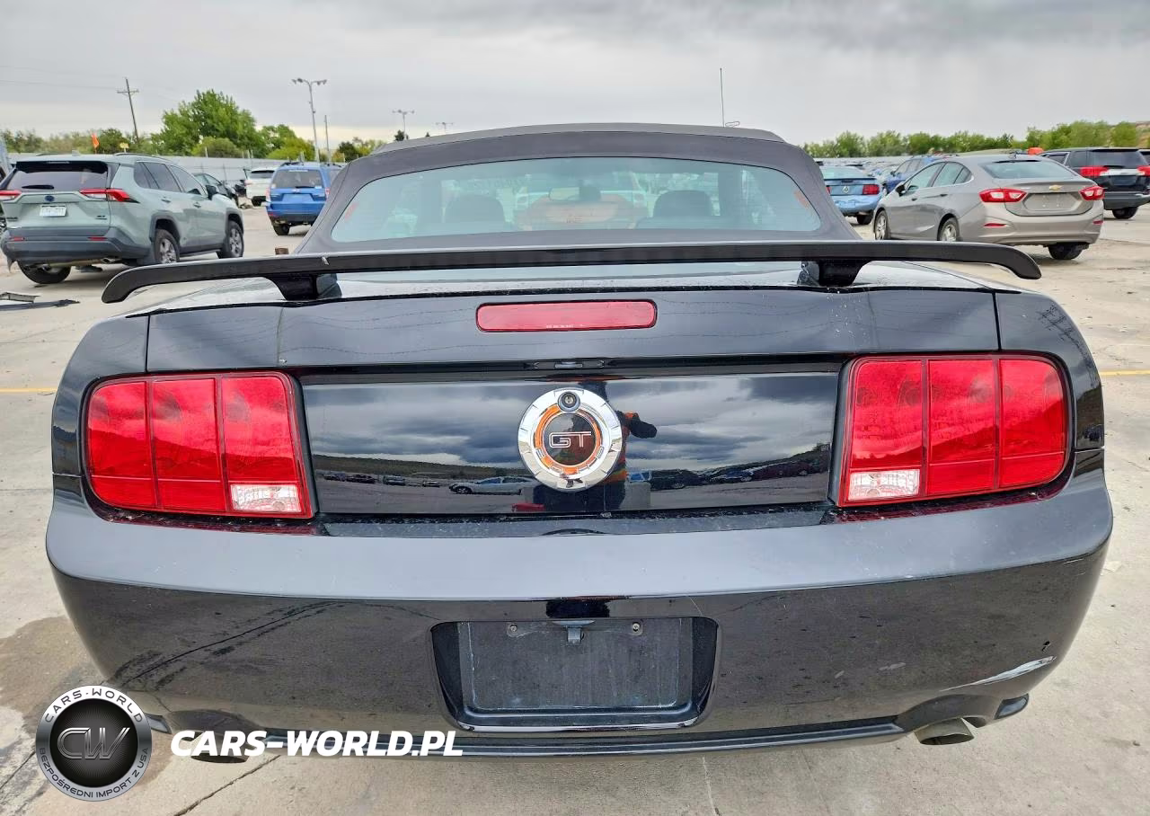 2006 Ford Mustang Gt VIN:1ZVFT85H265209487 - 6