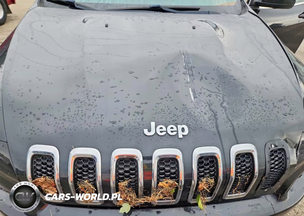 2016 Jeep Cherokee Latitude VIN:1C4PJMCB7GW145009 - 12