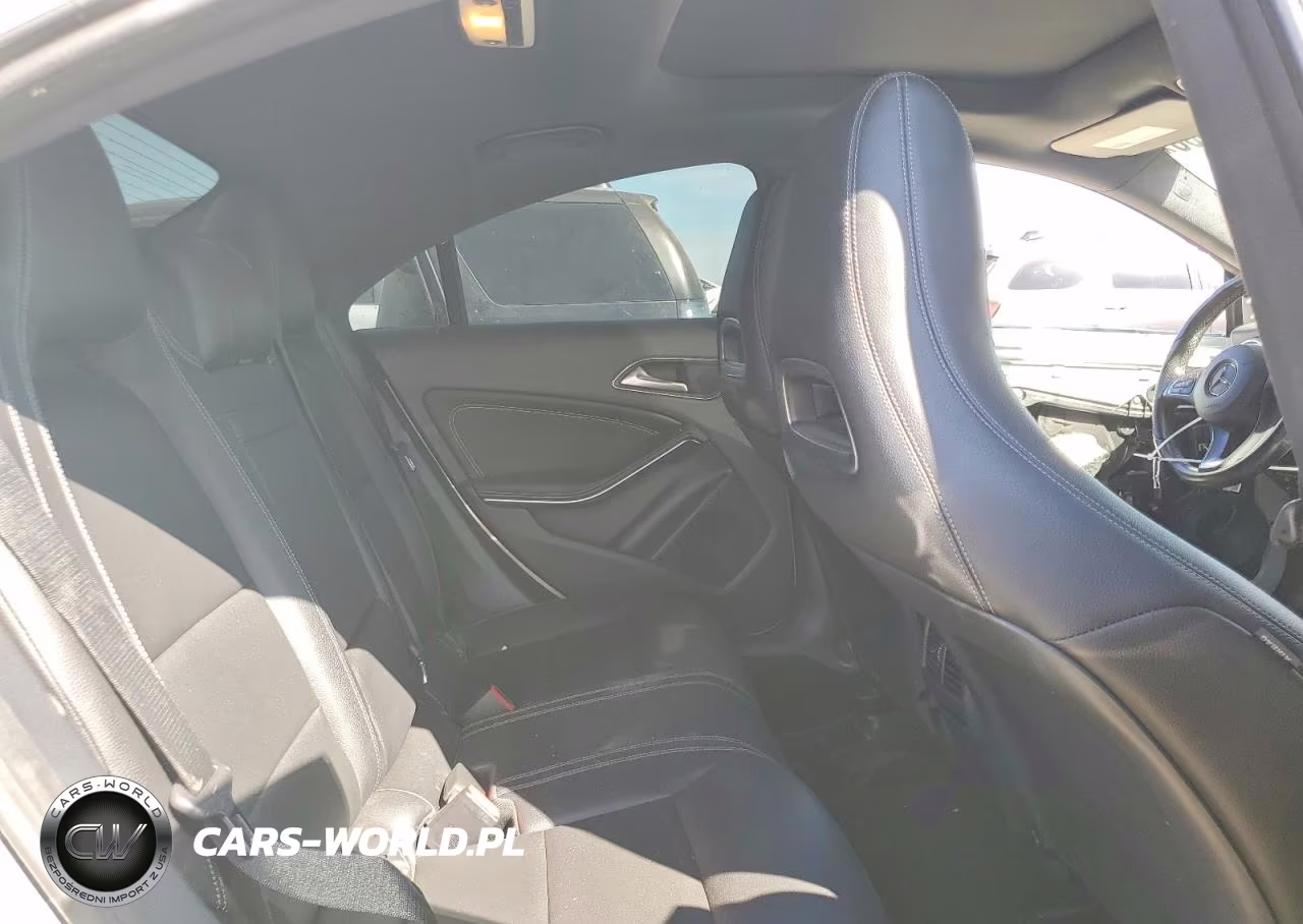 2016 Mercedes-Benz Cla 250 VIN:WDDSJ4EB9GN317785 - 10
