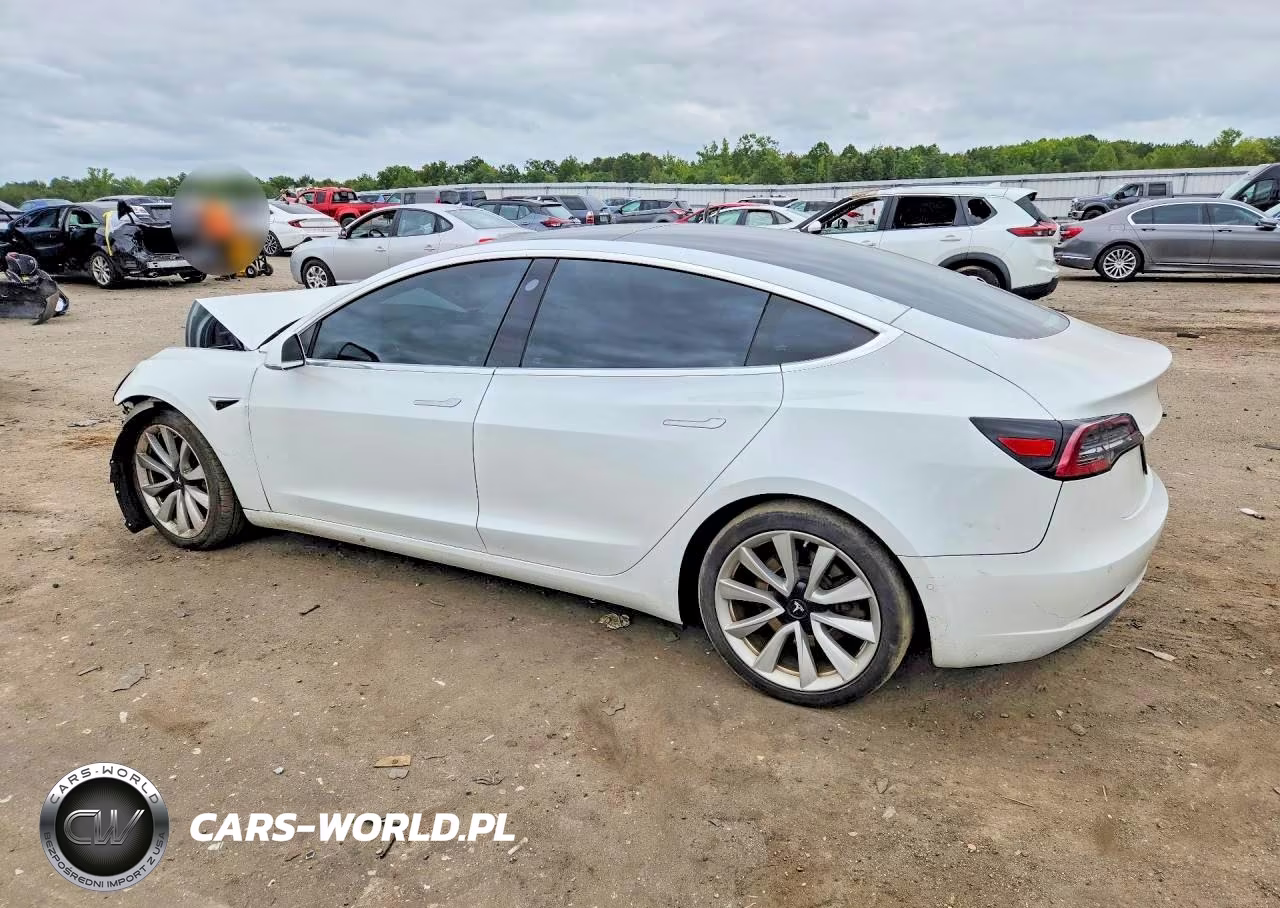 2020 Tesla Model 3 VIN:5YJ3E1EB4LF801387 - 2