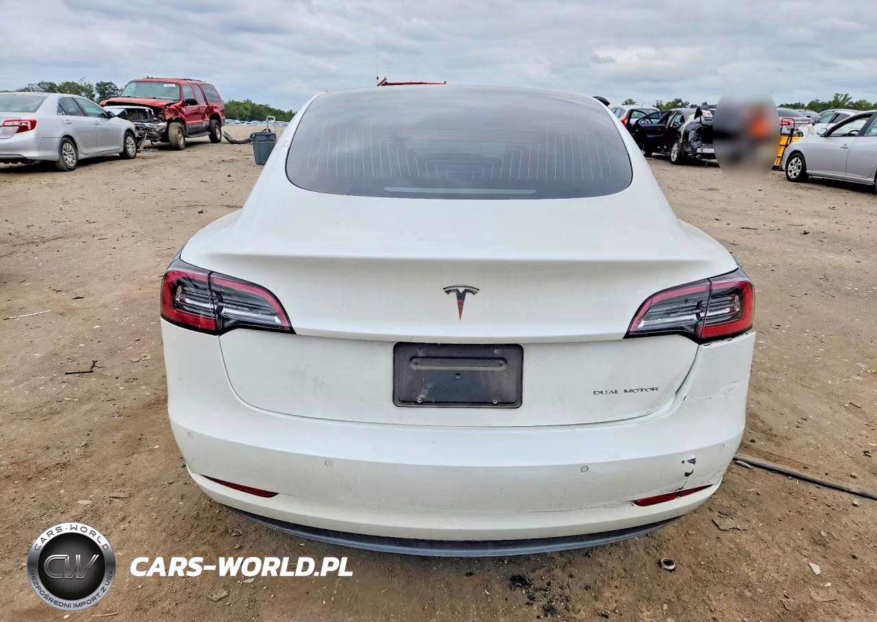 2020 Tesla Model 3 VIN:5YJ3E1EB4LF801387 - 6