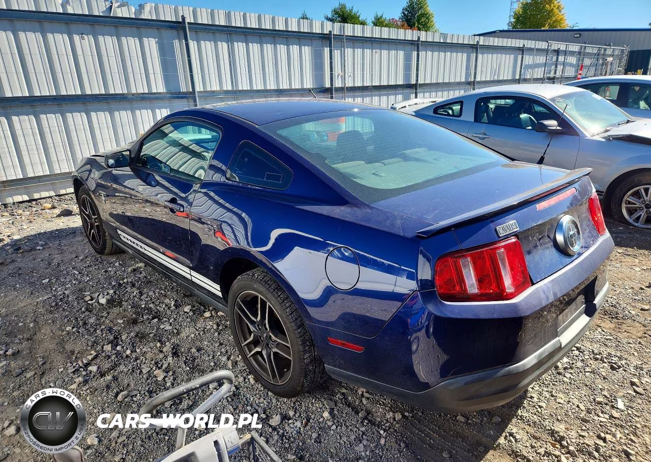 2010 Ford Mustang VIN:1ZVBP8AN5A5133562 - 2