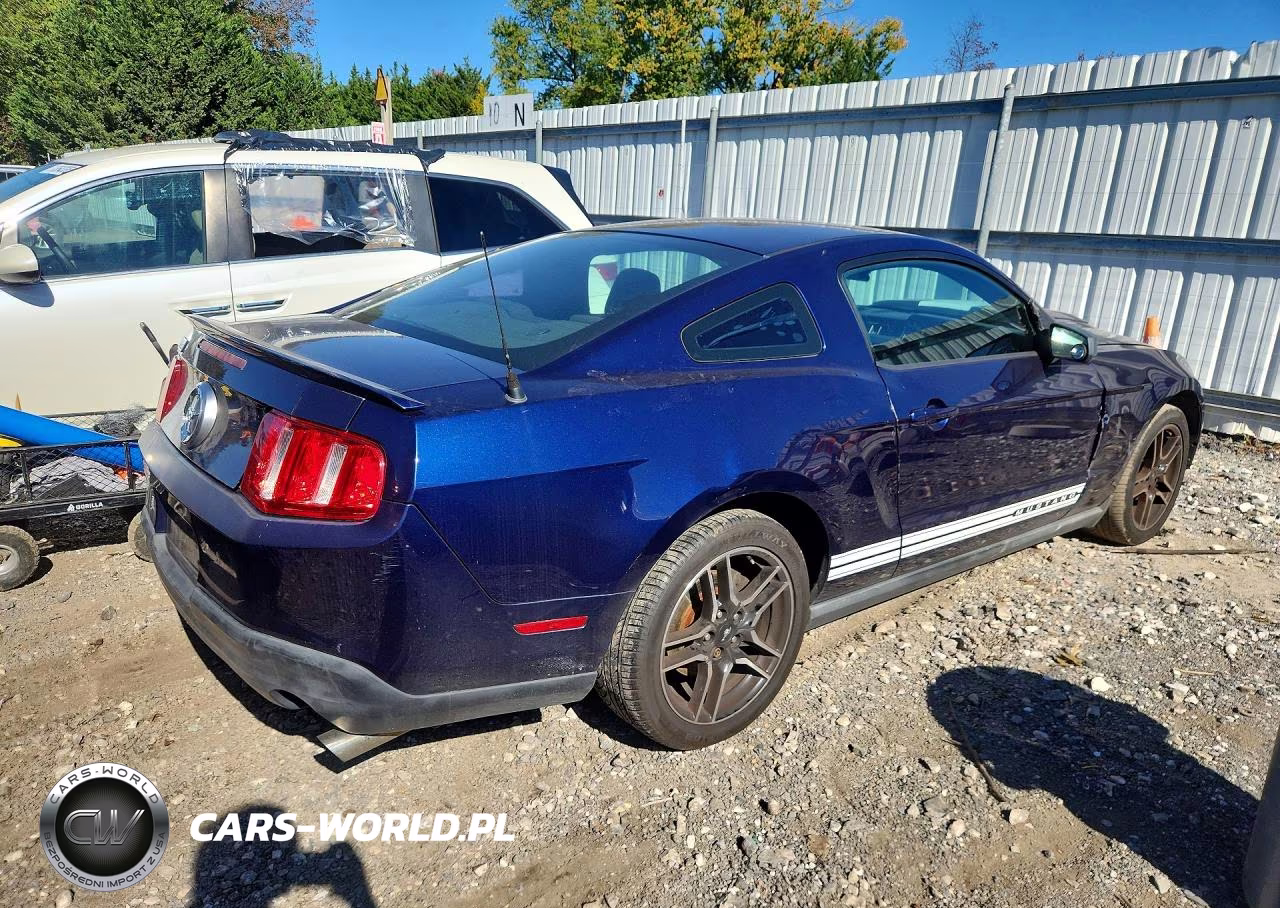 2010 Ford Mustang VIN:1ZVBP8AN5A5133562 - 3
