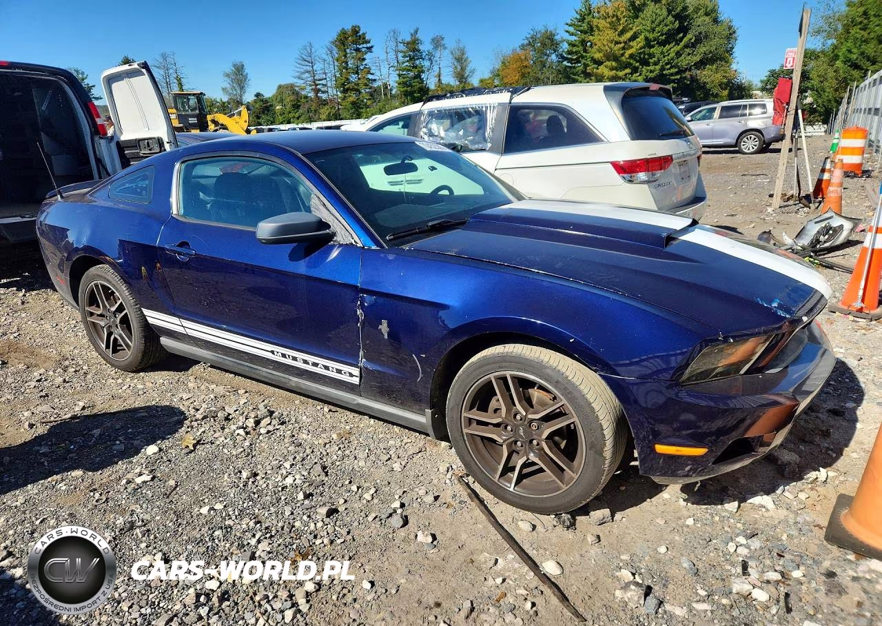 2010 Ford Mustang VIN:1ZVBP8AN5A5133562 - 4