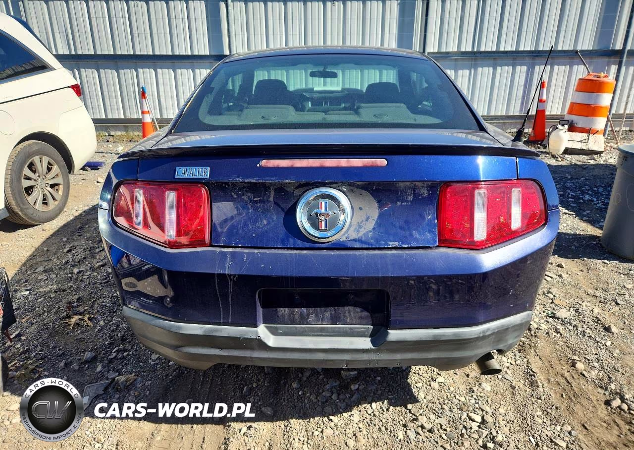 2010 Ford Mustang VIN:1ZVBP8AN5A5133562 - 6