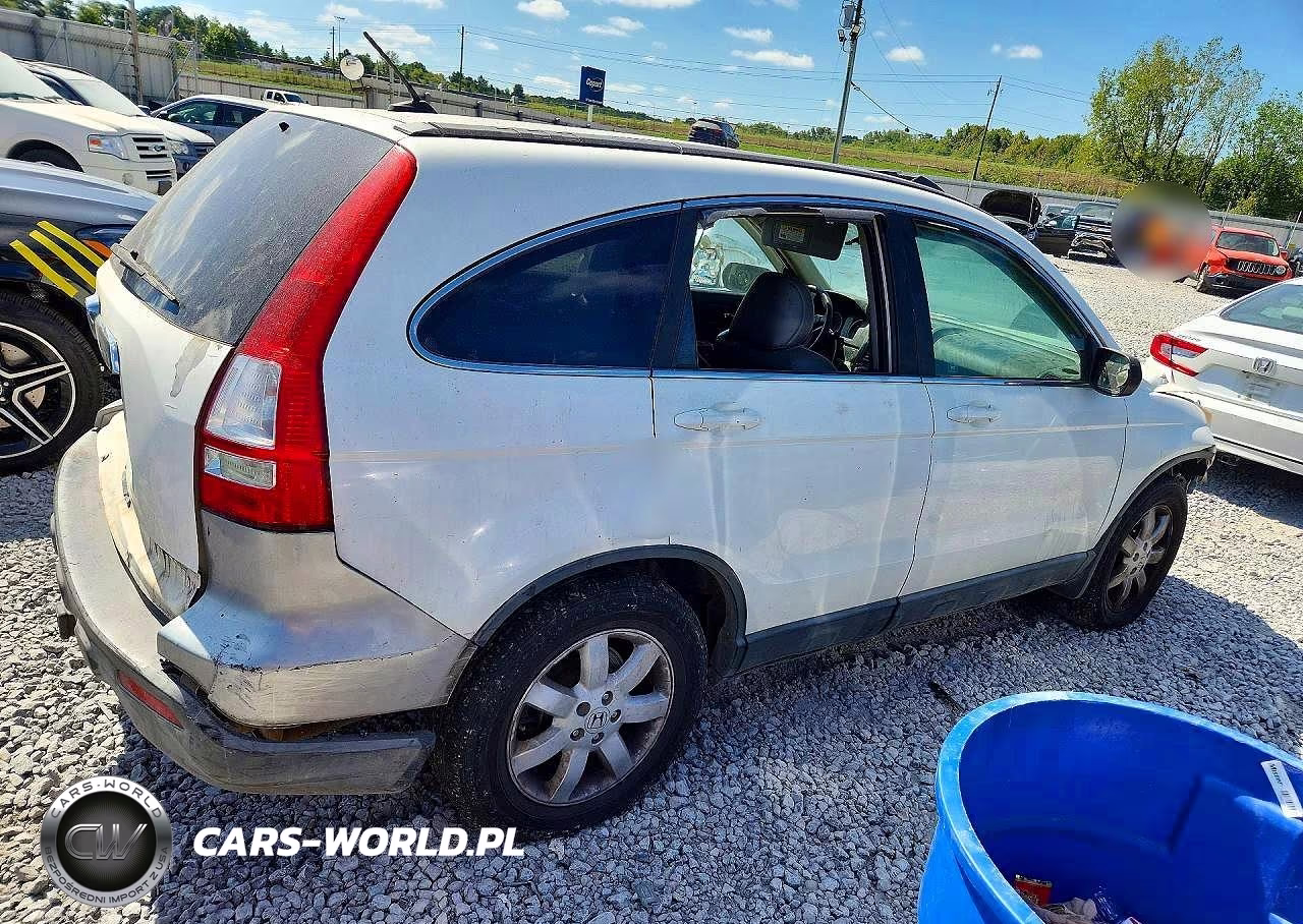 2008 Honda Cr-V Exl VIN:5J6RE387X8L007828 - 3