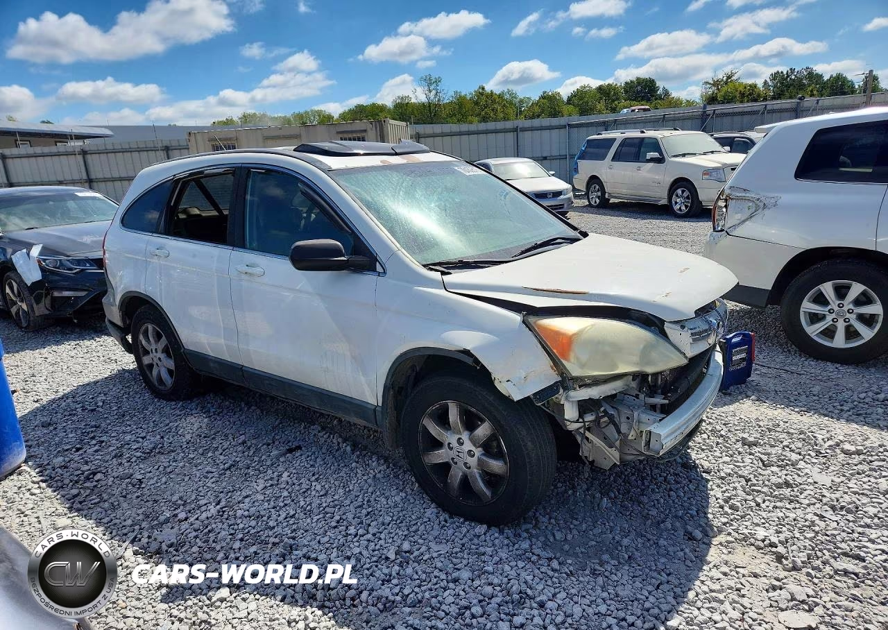 2008 Honda Cr-V Exl VIN:5J6RE387X8L007828 - 4