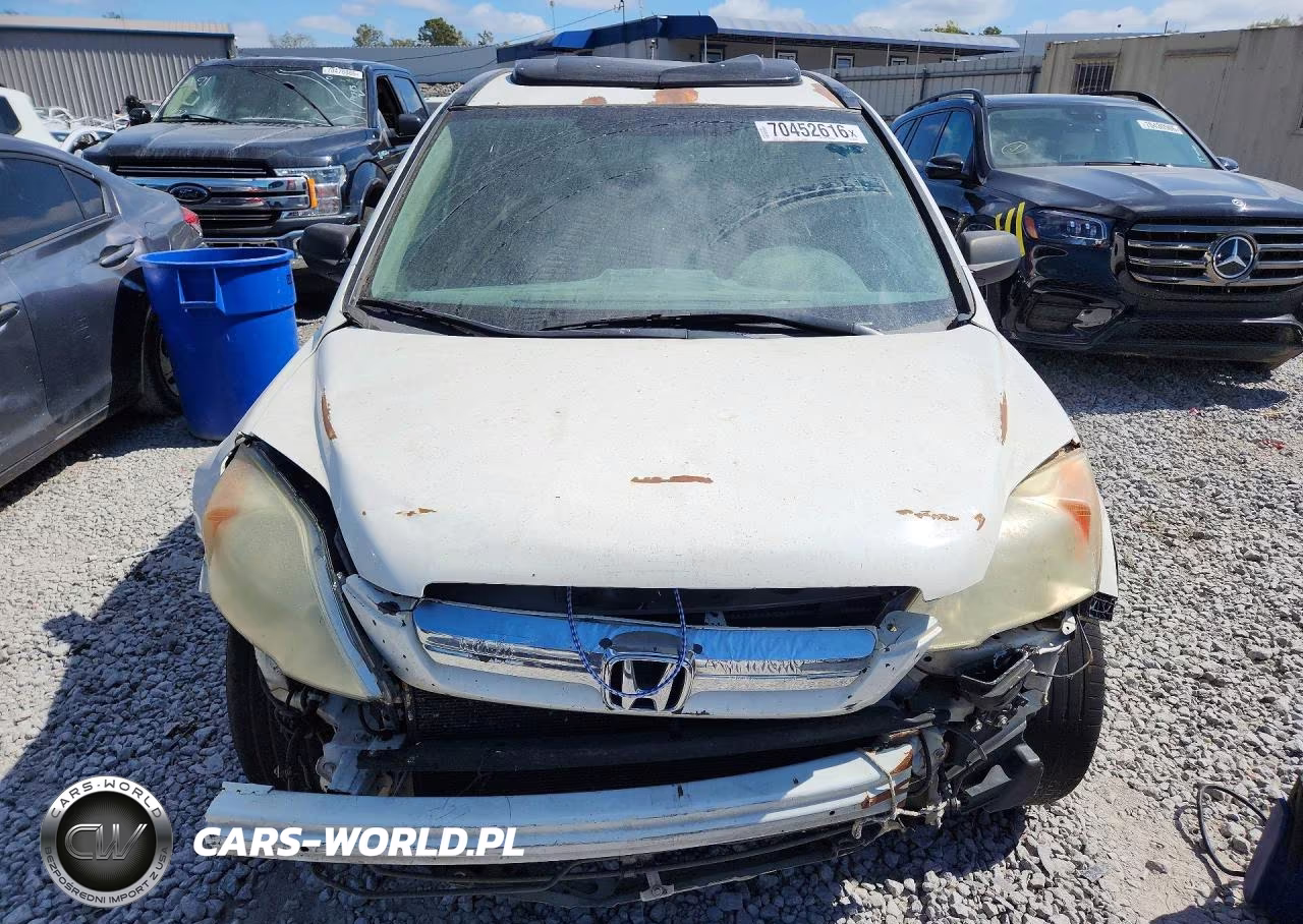 2008 Honda Cr-V Exl VIN:5J6RE387X8L007828 - 5
