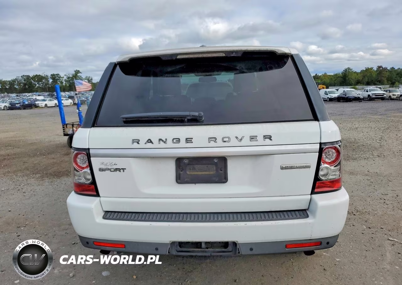 2013 Land Rover Range Rover Sport Hse Luxury VIN:SALSK2D43DA792519 - 6