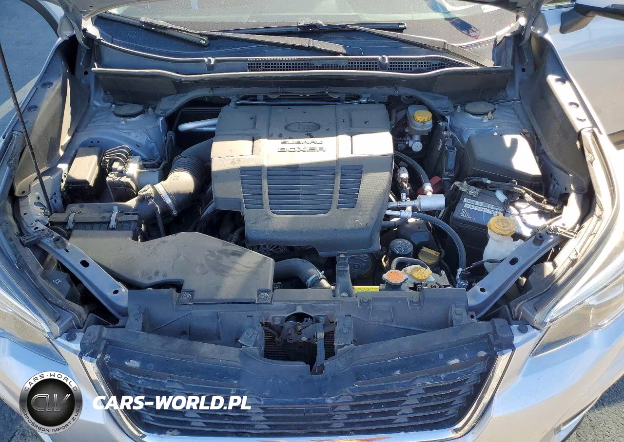 2019 Subaru Forester Limited VIN:JF2SKAUC9KH497679 - 12