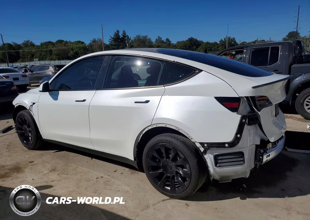 2023 Tesla Model Y VIN:7SAYGDEE8PA203675 - 2