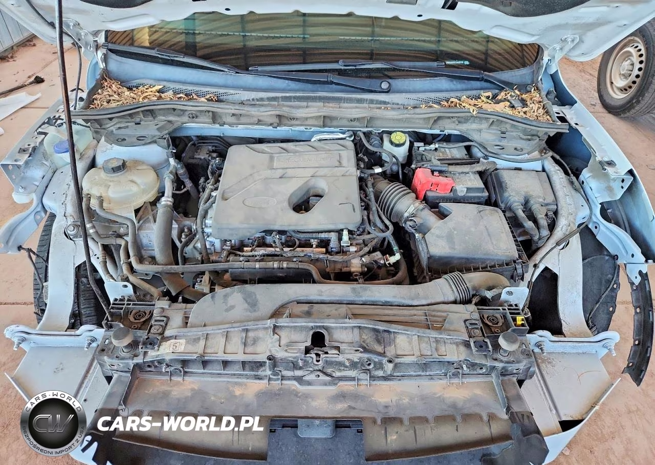 2020 Ford Escape S VIN:1FMCU0F67LUA35799 - 12