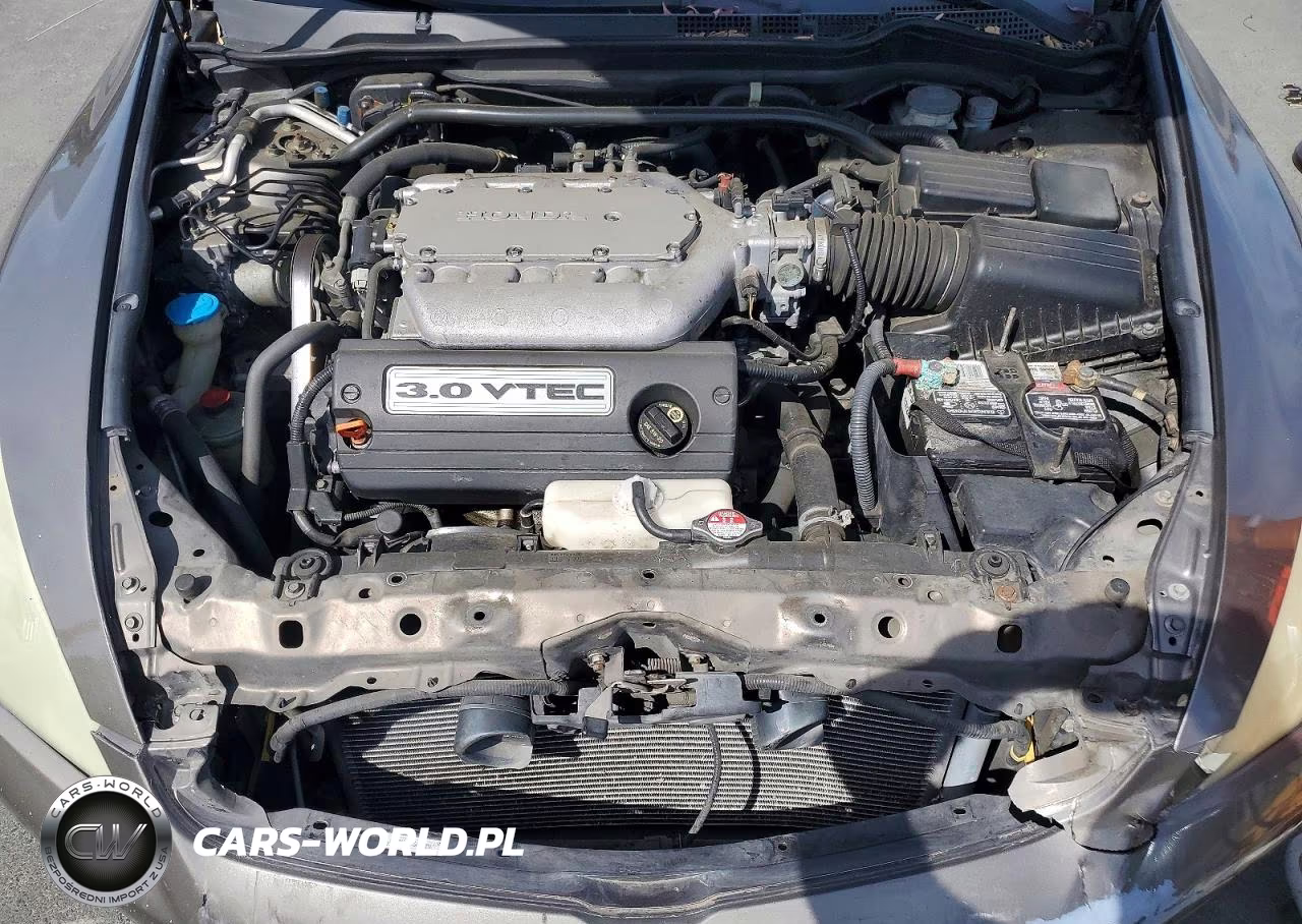 2006 Honda Accord Ex VIN:1HGCM655X6A019569 - 11