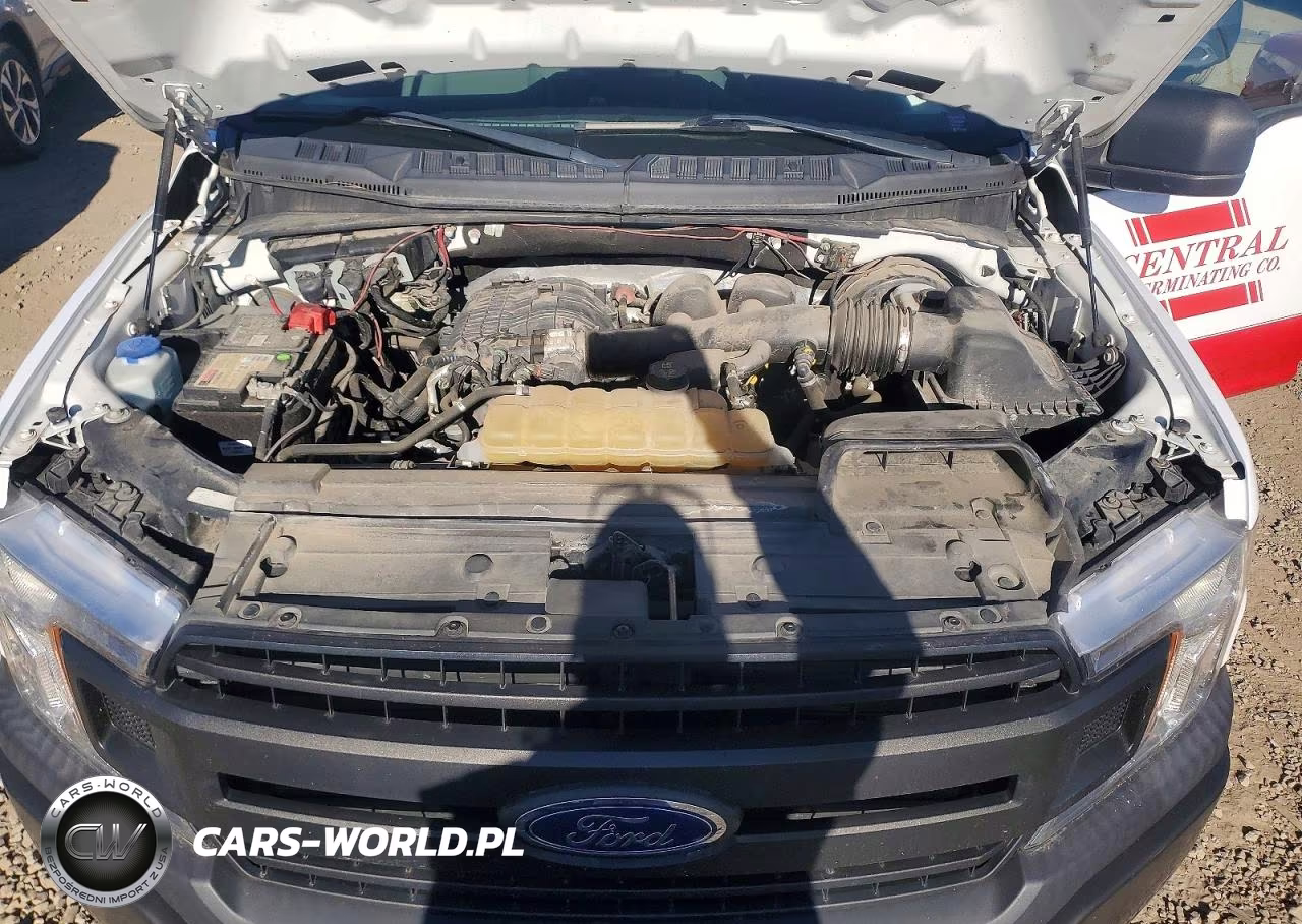 2020 Ford F150 VIN:1FTMF1CBXLKD15528 - 11