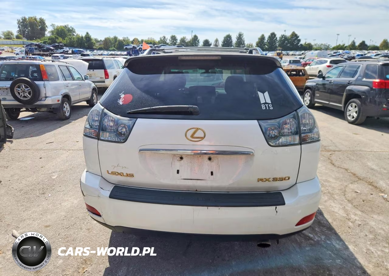 2004 Lexus Rx 330 VIN:JTJHA31U540065979 - 6