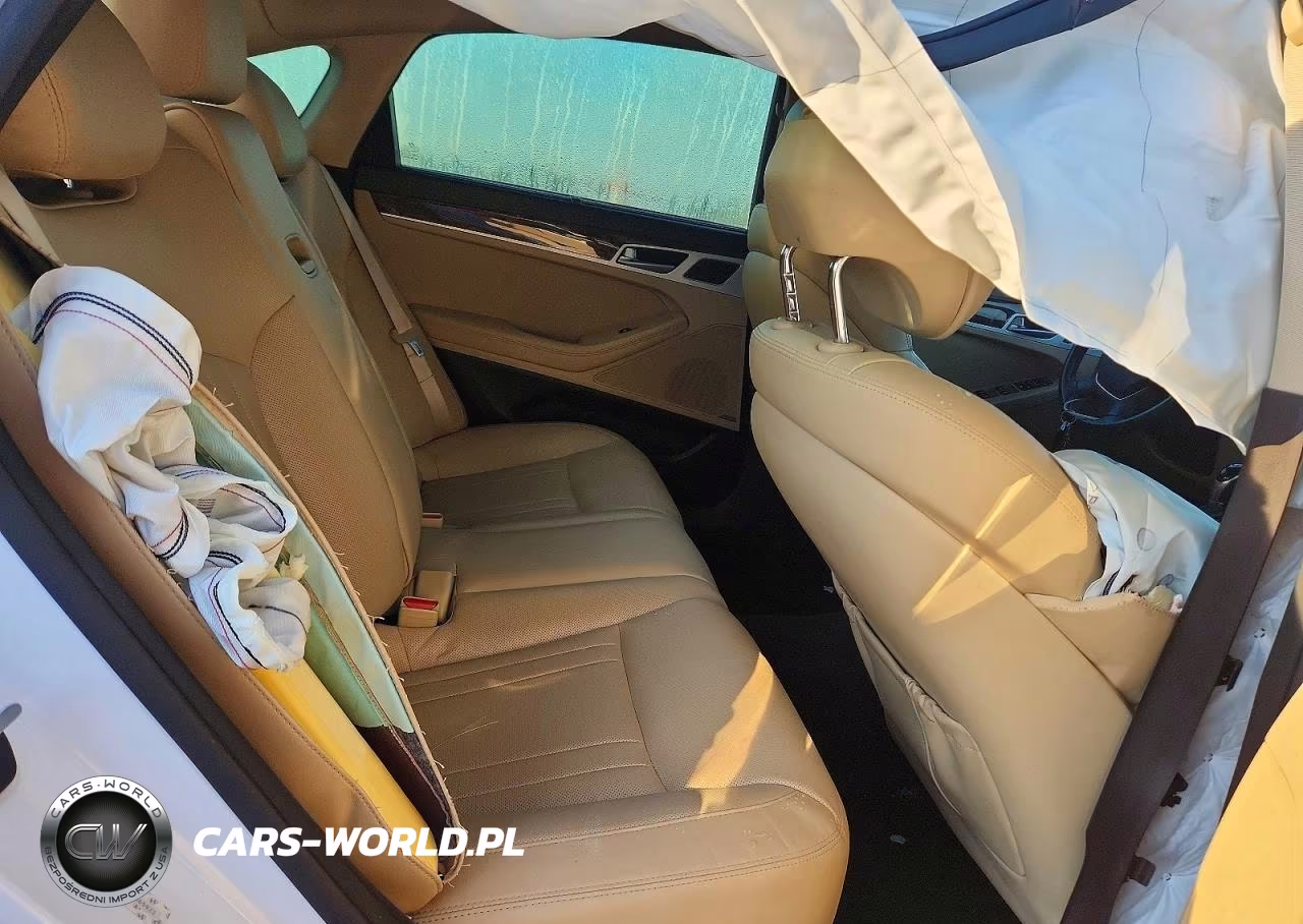 2015 Hyundai Genesis 3.8L VIN:KMHGN4JE8FU065922 - 10