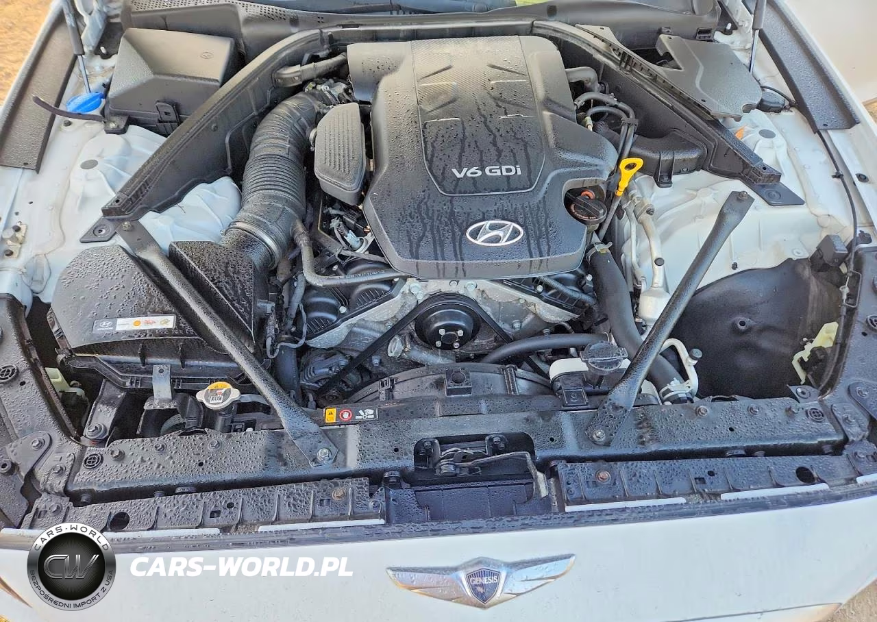 2015 Hyundai Genesis 3.8L VIN:KMHGN4JE8FU065922 - 11