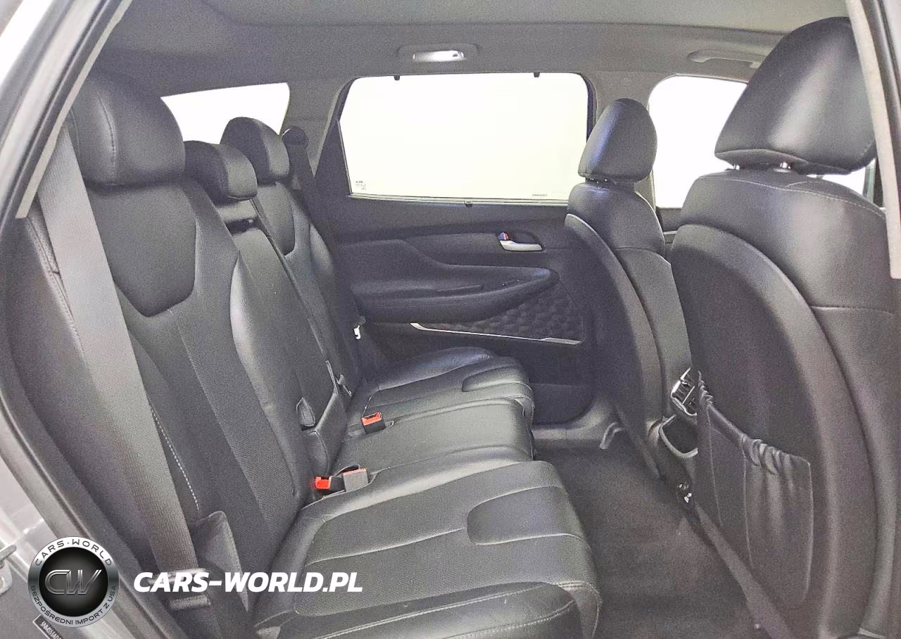 2020 Hyundai Santa Fe Limited VIN:5NMS53AD3LH150752 - 11