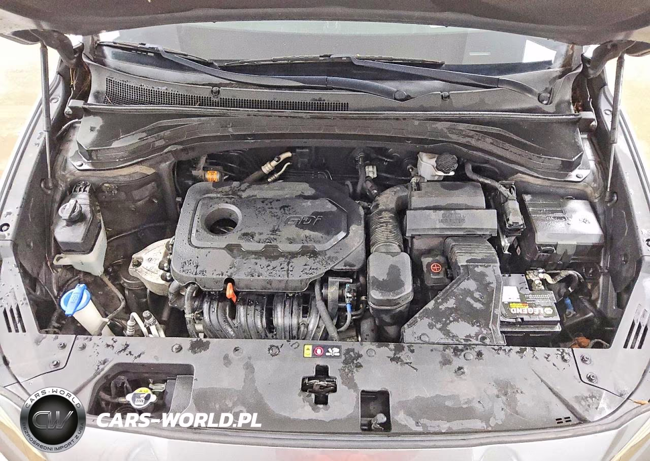 2020 Hyundai Santa Fe Limited VIN:5NMS53AD3LH150752 - 12