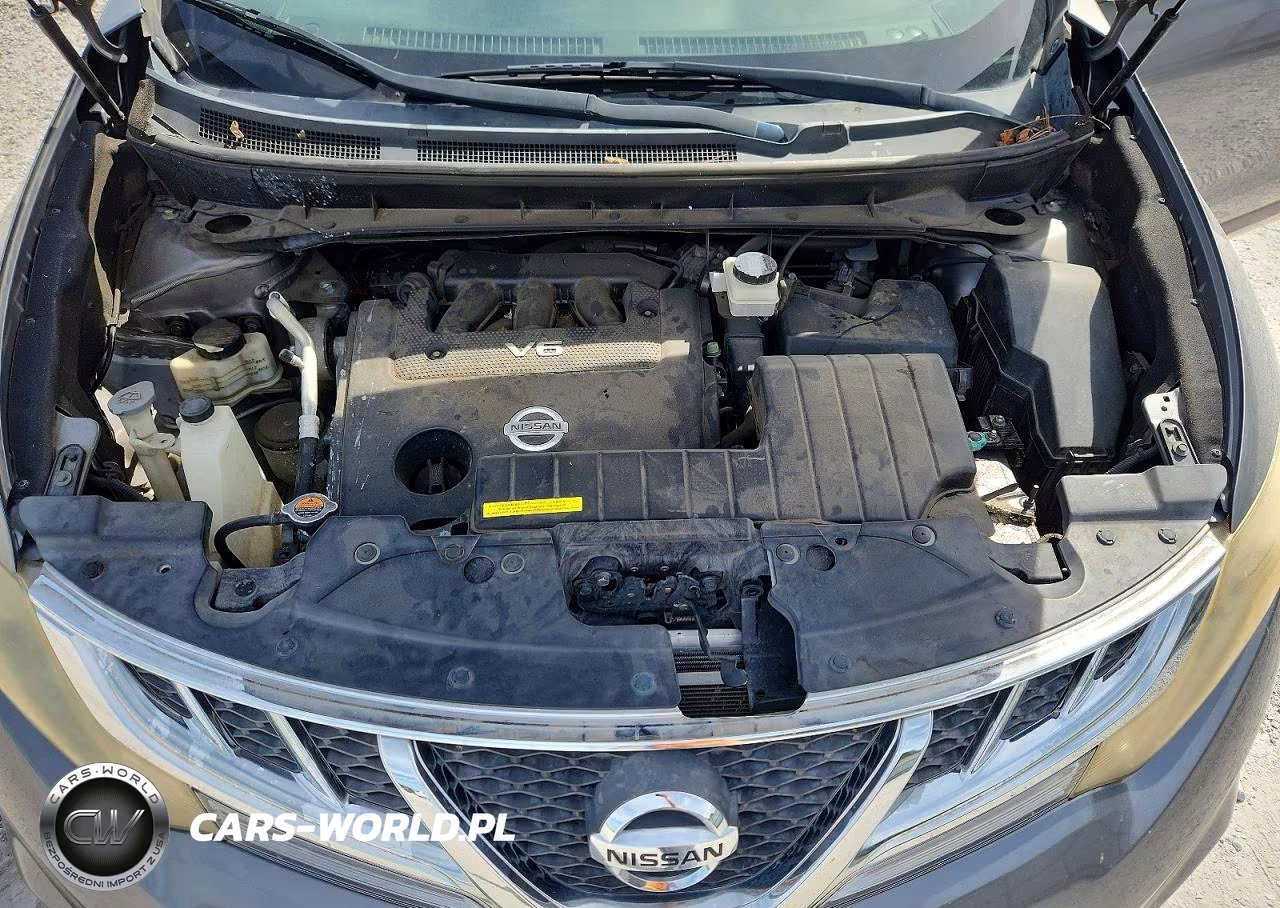 2014 Nissan Murano Crosscabriolet VIN:JN8AZ1FY2EW300550 - 11