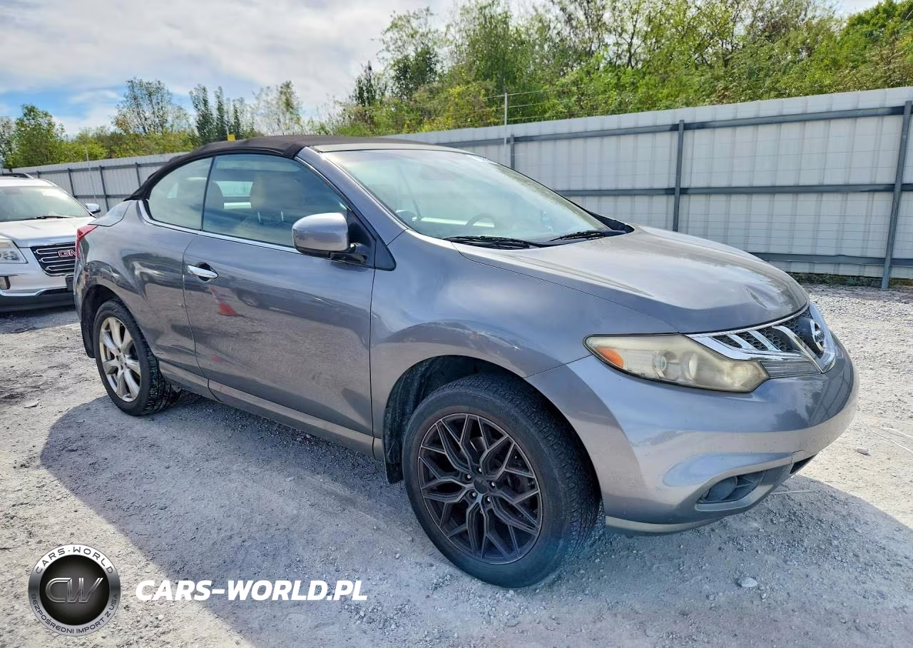 2014 Nissan Murano Crosscabriolet VIN:JN8AZ1FY2EW300550 - 4