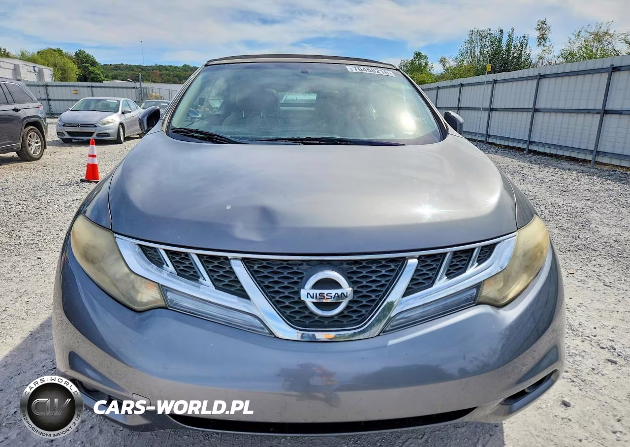 2014 Nissan Murano Crosscabriolet VIN:JN8AZ1FY2EW300550 - 5