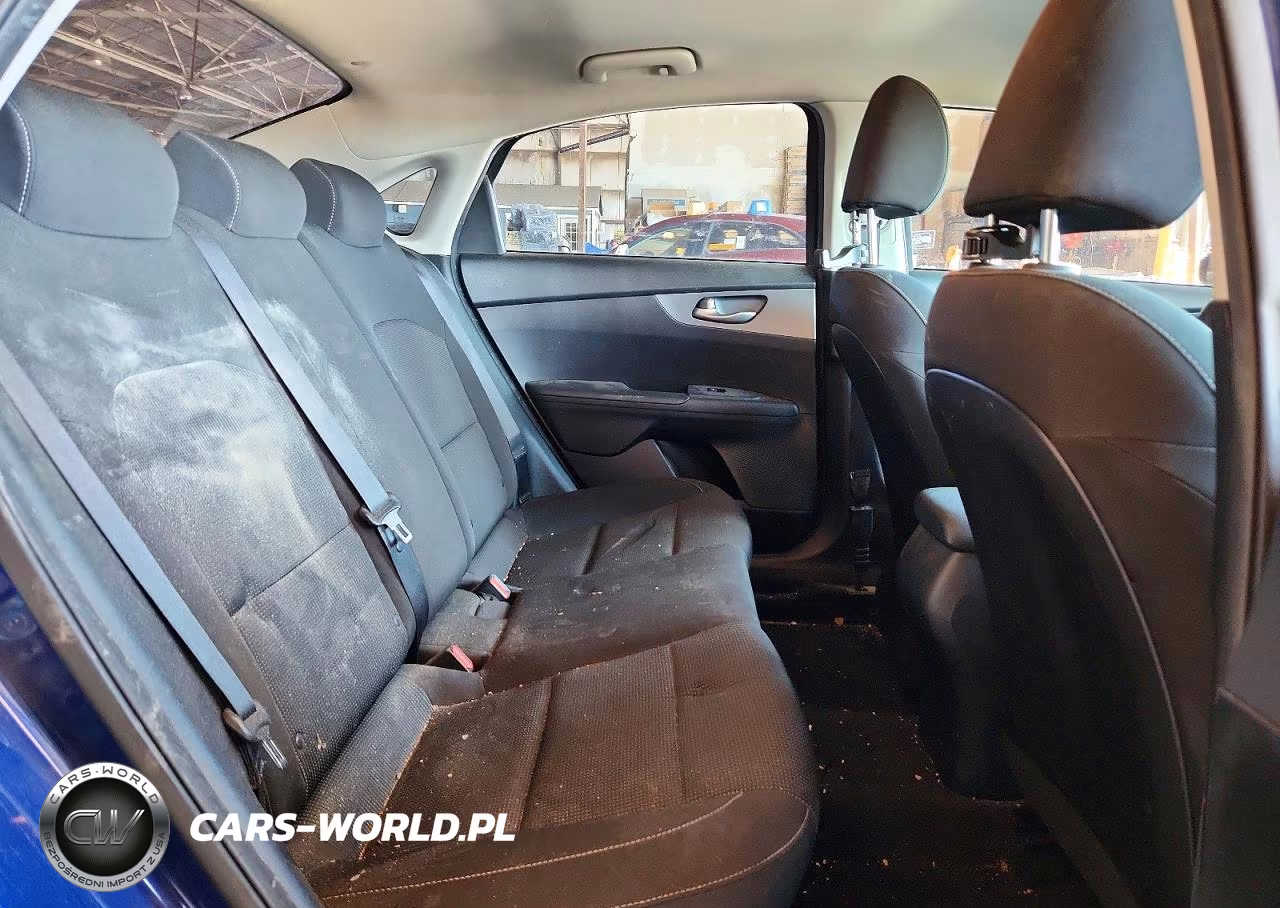 2019 Kia Forte Lxs VIN:3KPF24AD6KE120988 - 10