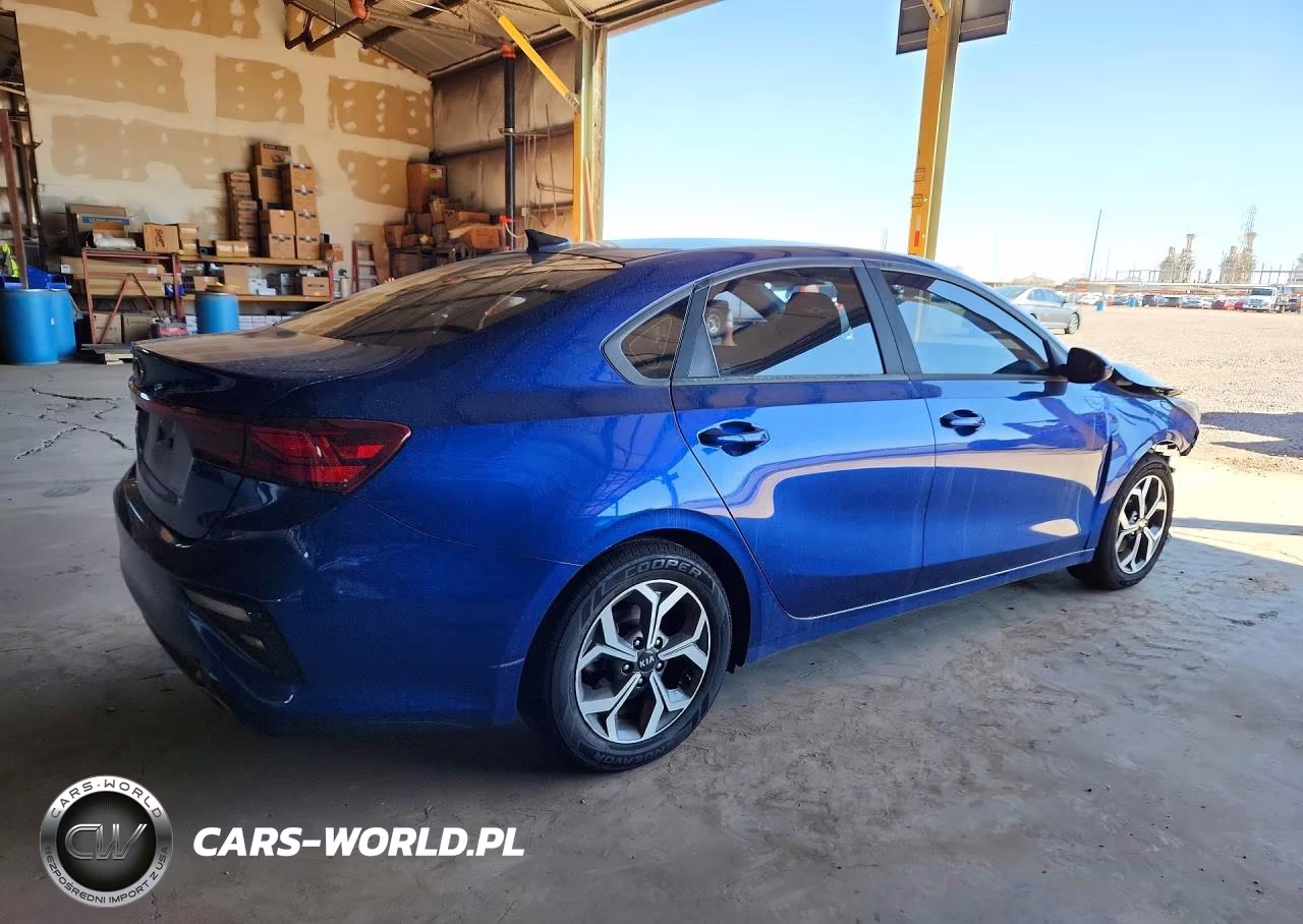 2019 Kia Forte Lxs VIN:3KPF24AD6KE120988 - 3