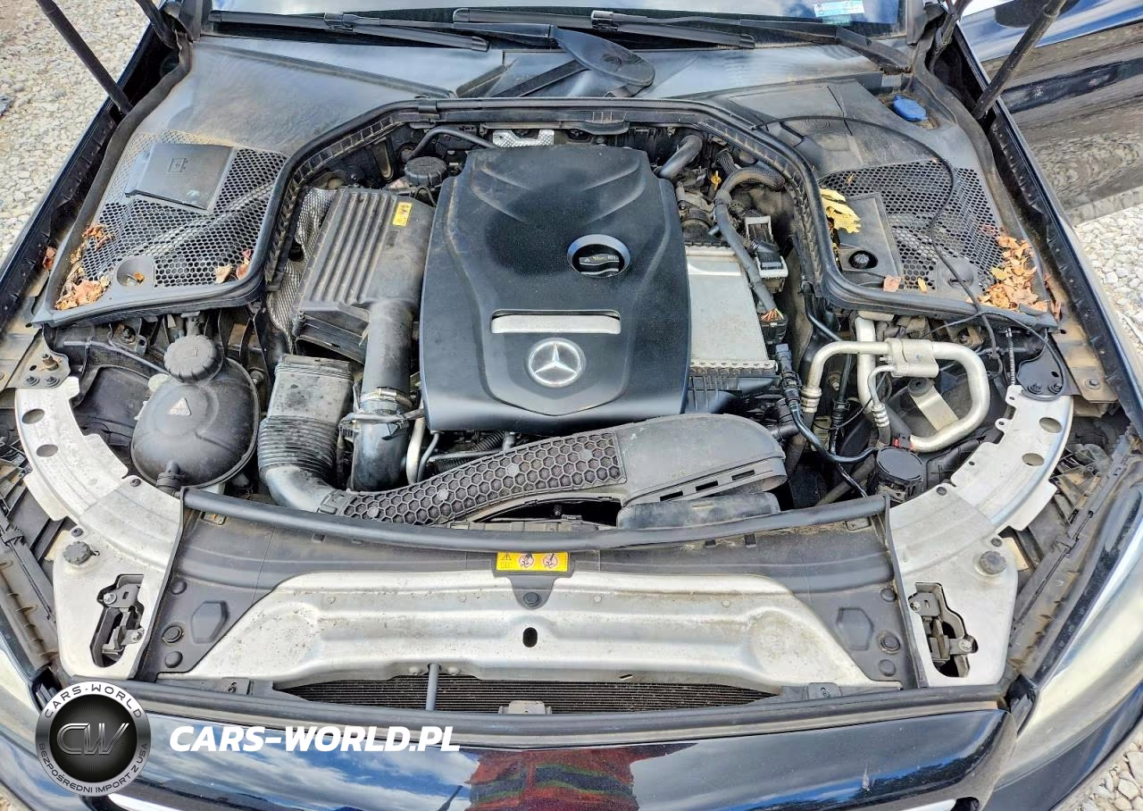 2016 Mercedes-Benz C 300 VIN:55SWF4JB6GU168560 - 11