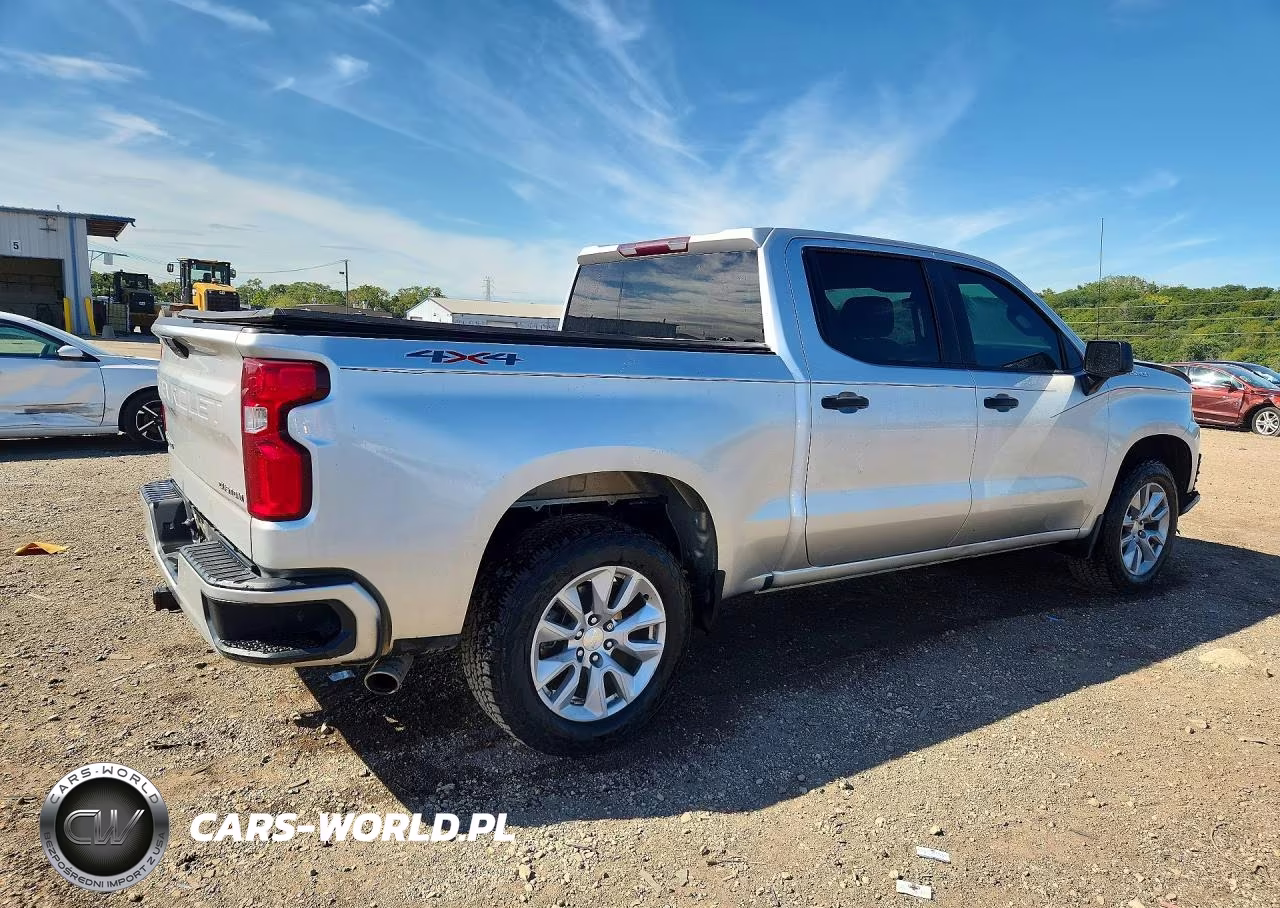 2019 Chevrolet Silverado K1500 Custom VIN:3GCPYBEH1KG141708 - 3