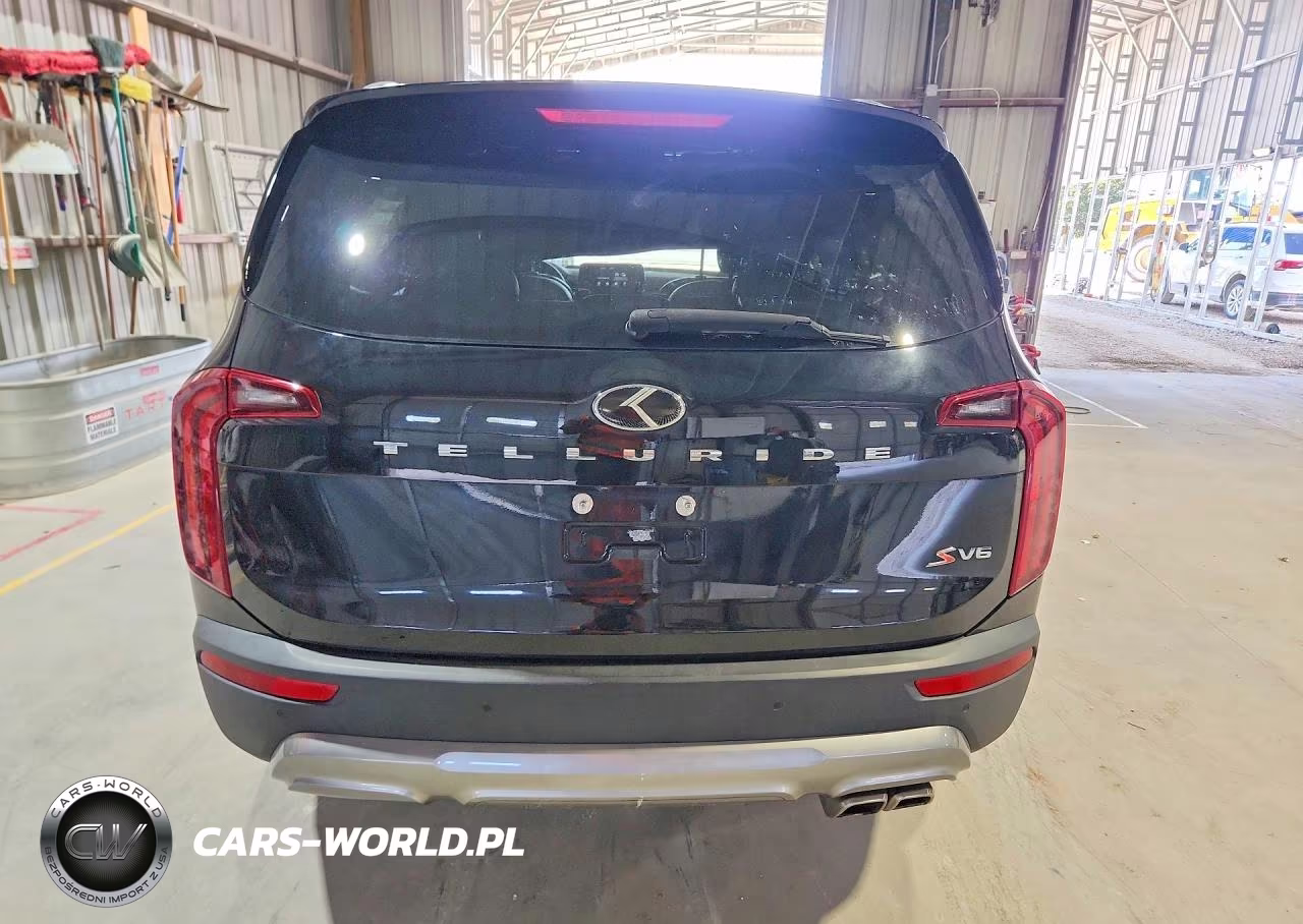 2021 Kia Telluride S VIN:5XYP64HC6MG141268 - 6