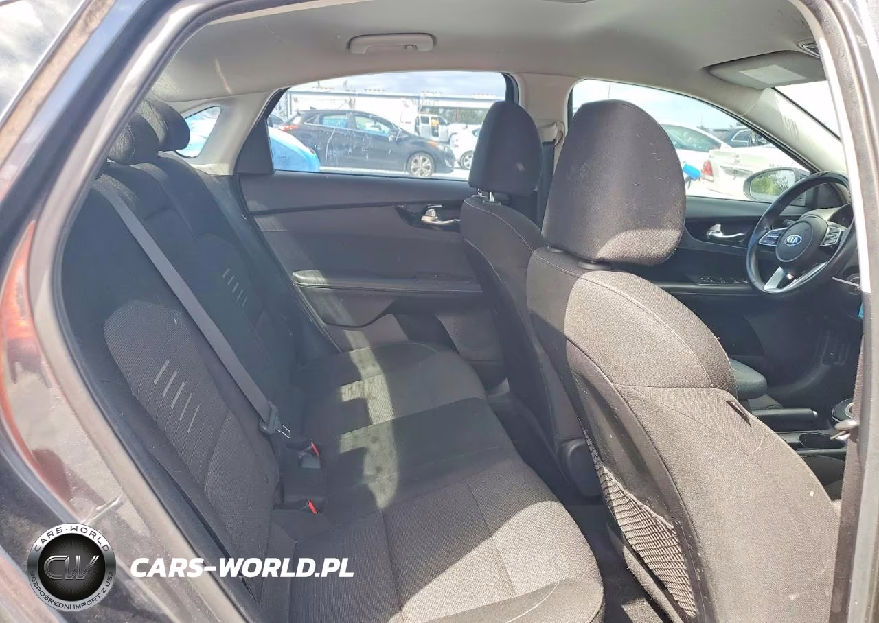 2019 Kia Forte S VIN:3KPF34AD2KE114070 - 10