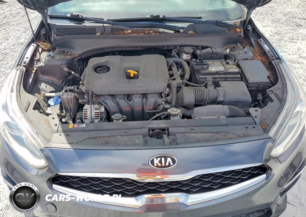 2019 Kia Forte S VIN:3KPF34AD2KE114070 - 11
