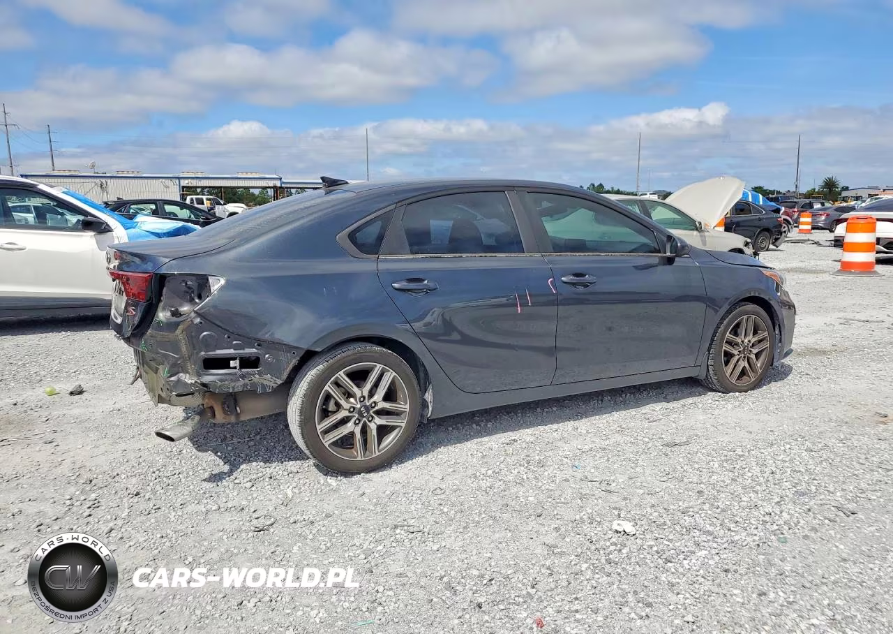2019 Kia Forte S VIN:3KPF34AD2KE114070 - 3