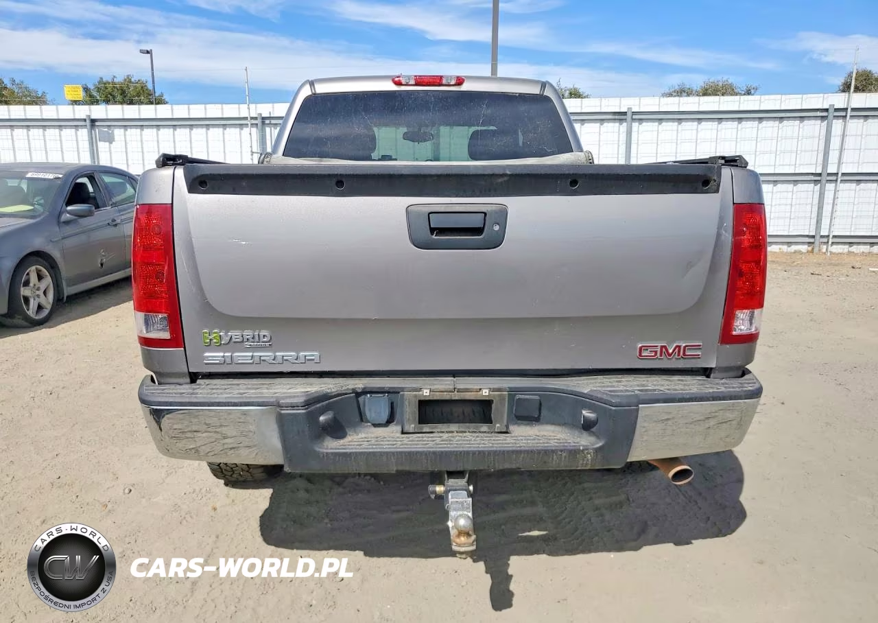 2009 GMC Sierra K1500 Hybrid VIN:3GTFK13509G272008 - 6
