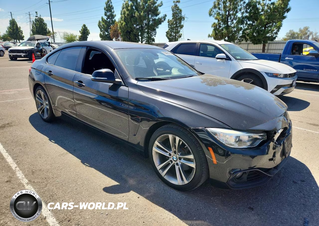 2015 BMW 428 I Gran Coupe Sulev VIN:WBA4A9C58FGL86691 - 4