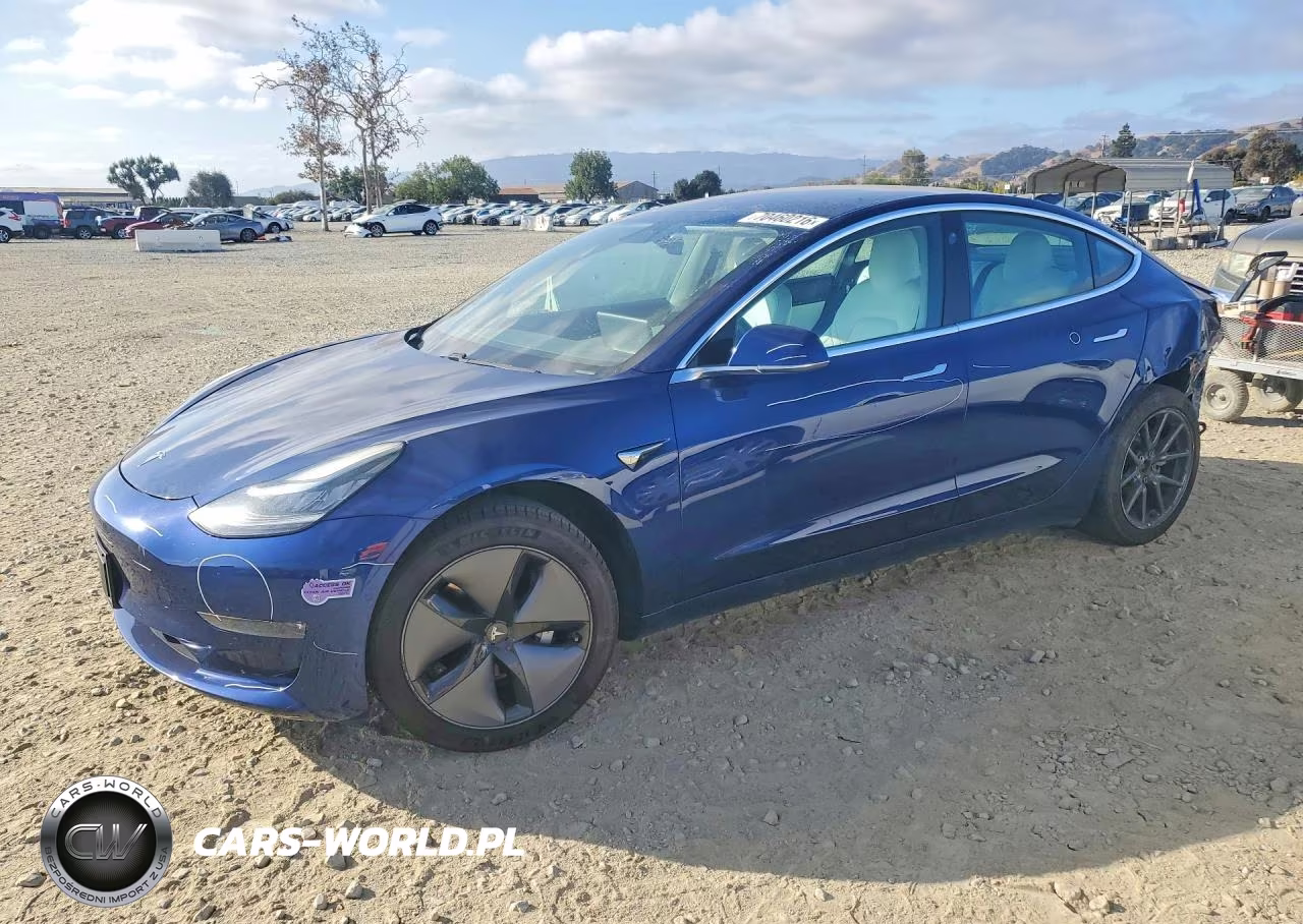 2019 Tesla Model 3