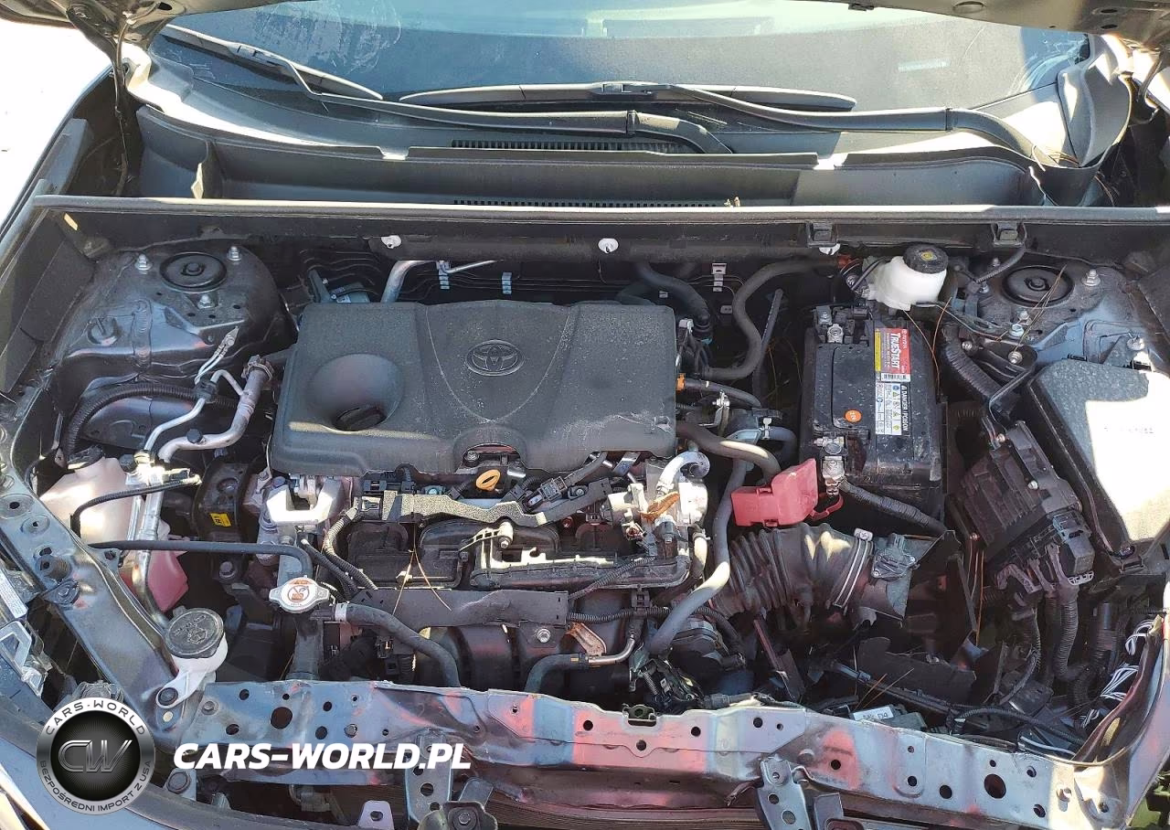 2024 Toyota Rav4 Xle VIN:2T3W1RFV9RC254749 - 12