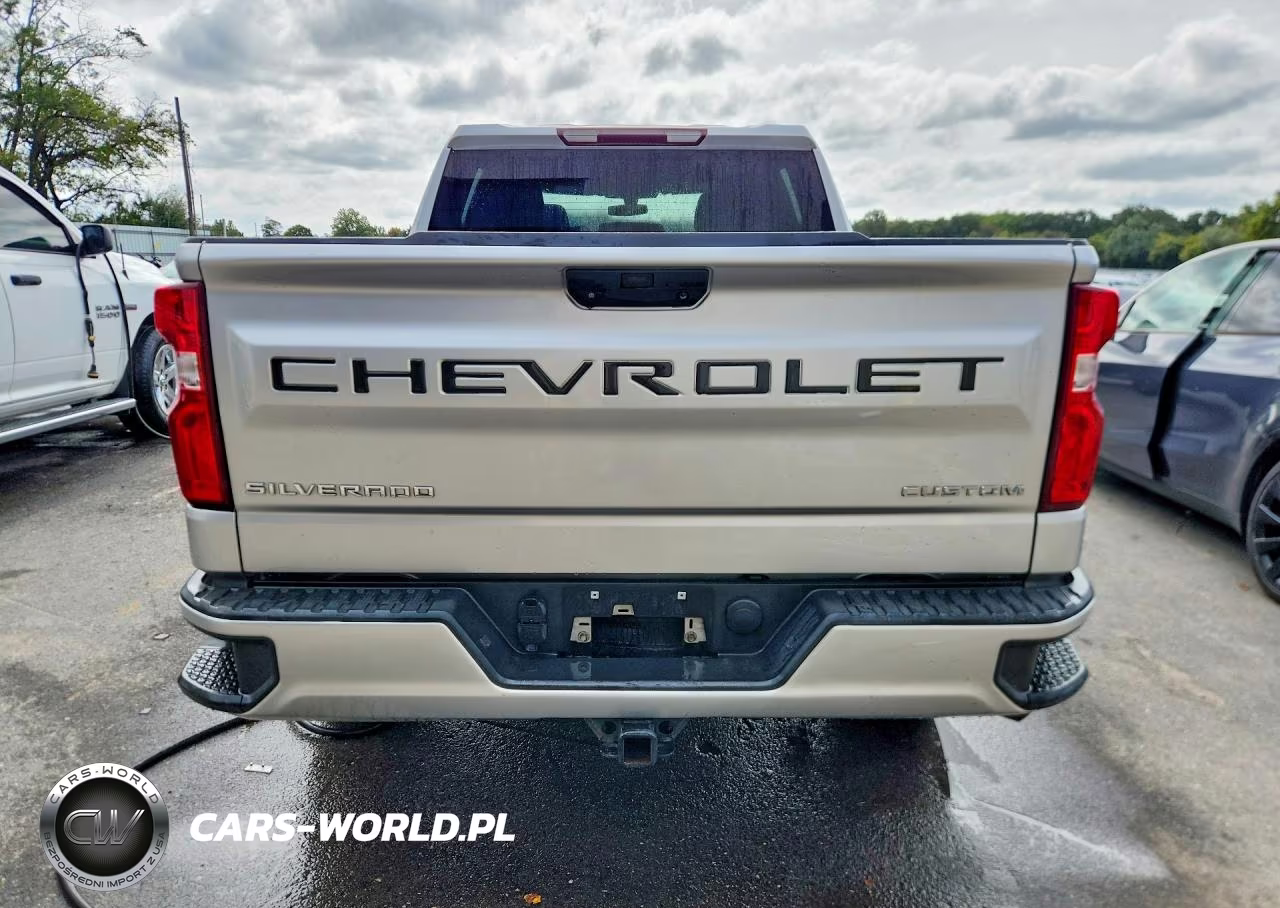 2019 Chevrolet Silverado K1500 Custom VIN:3GCPYBEH2KG102044 - 6