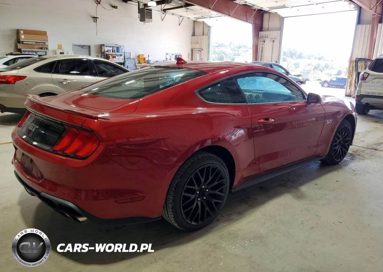 2020 Ford Mustang Gt VIN:1FA6P8CF0L5188892 - 3